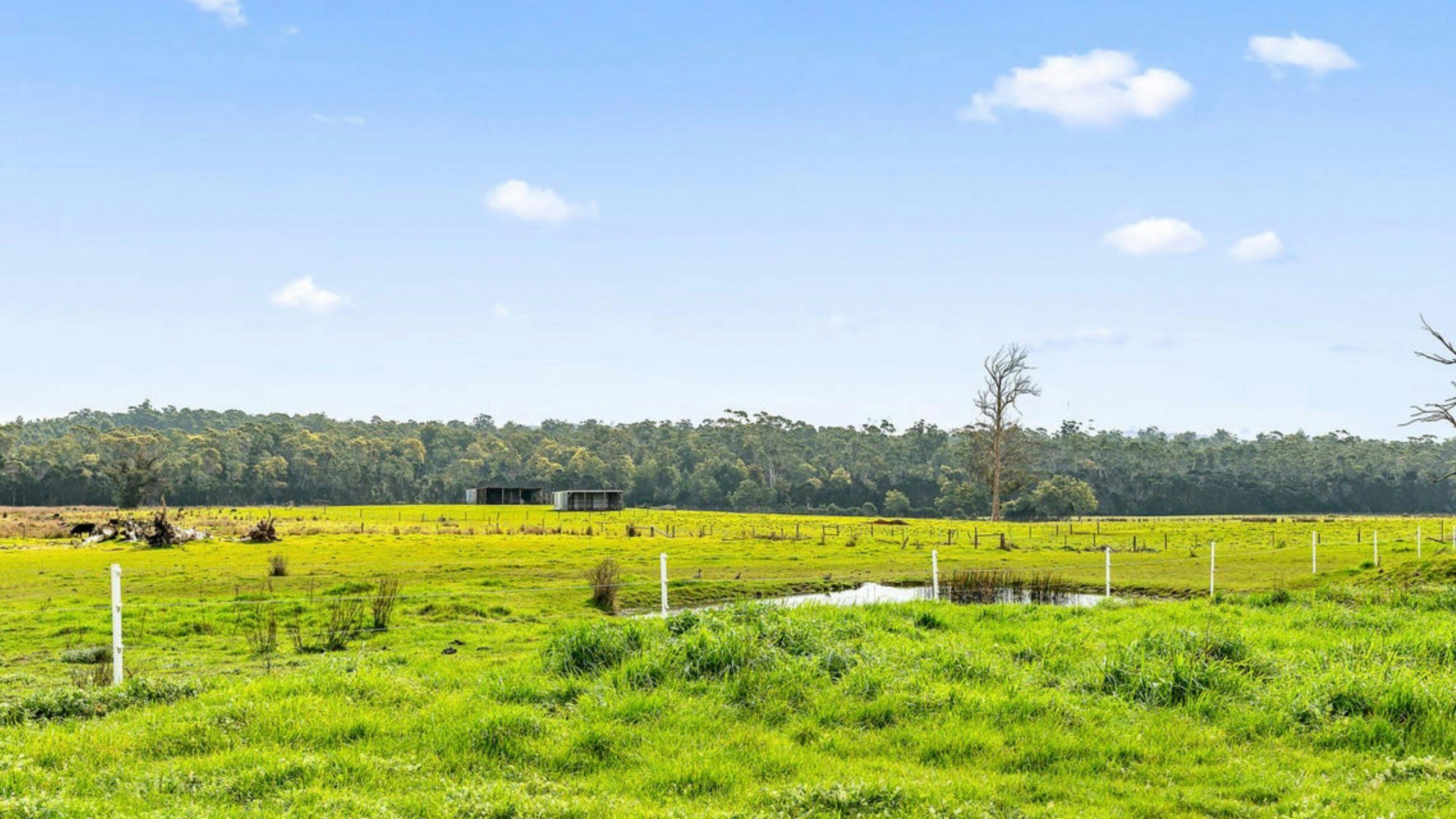 Pipers Lodge Farmstay - Horses Welcome