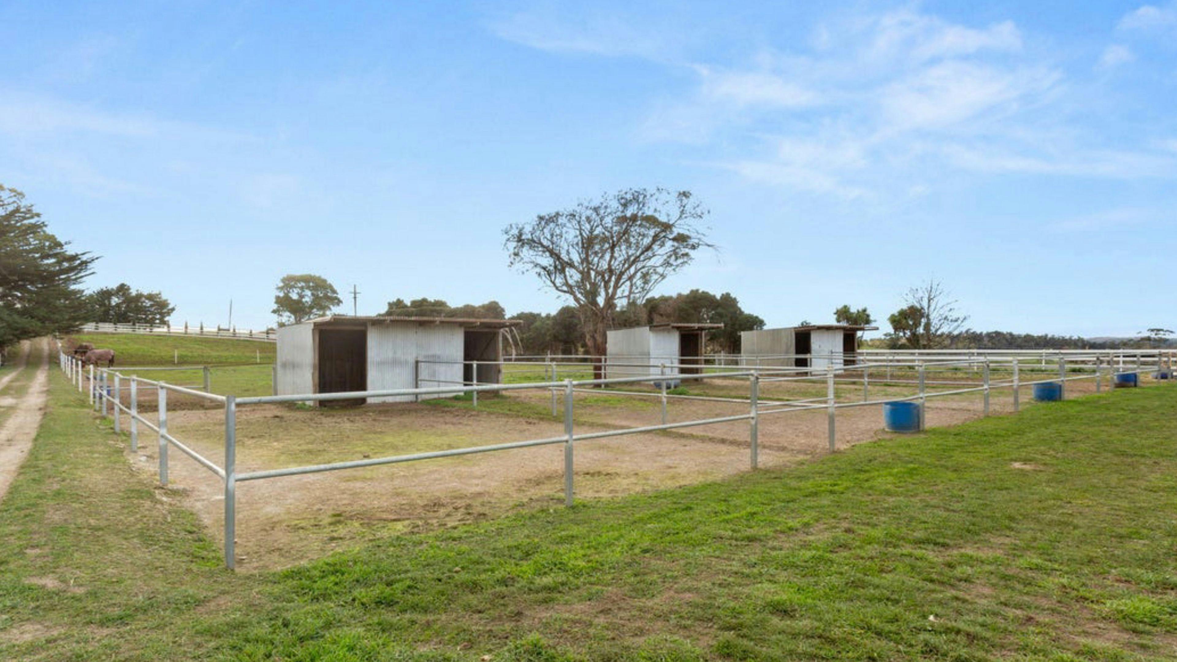 Pipers Lodge Farmstay - Horses Welcome