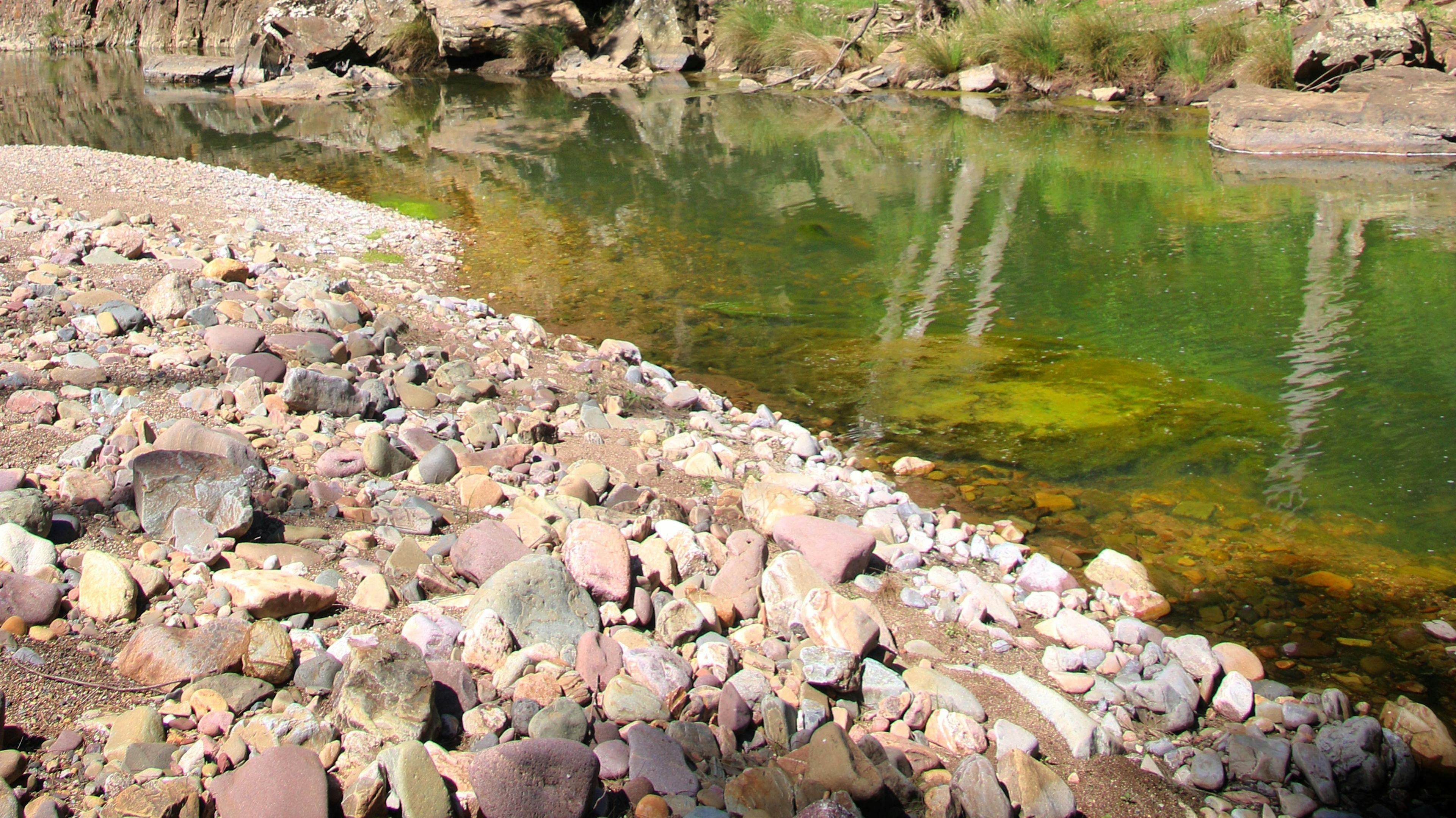 Ancient rock formations and lush regrowth reflected. 