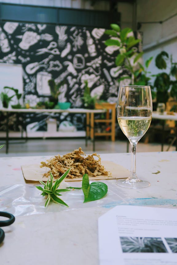 Plant Propagation Class and Prosecco