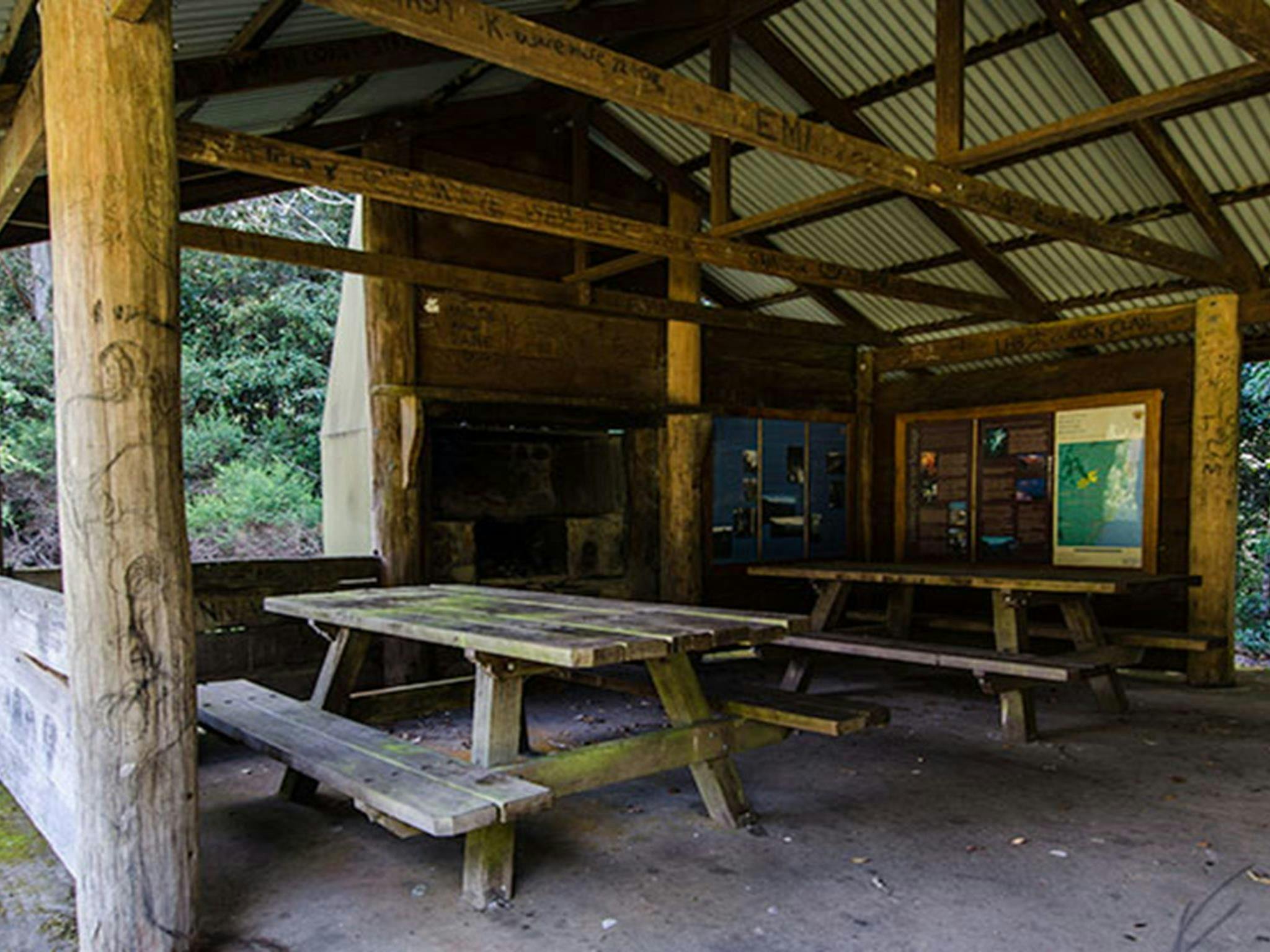 Plateau Beech campground, Werrikimbe National Park. Photo: John Spencer/NSW Government