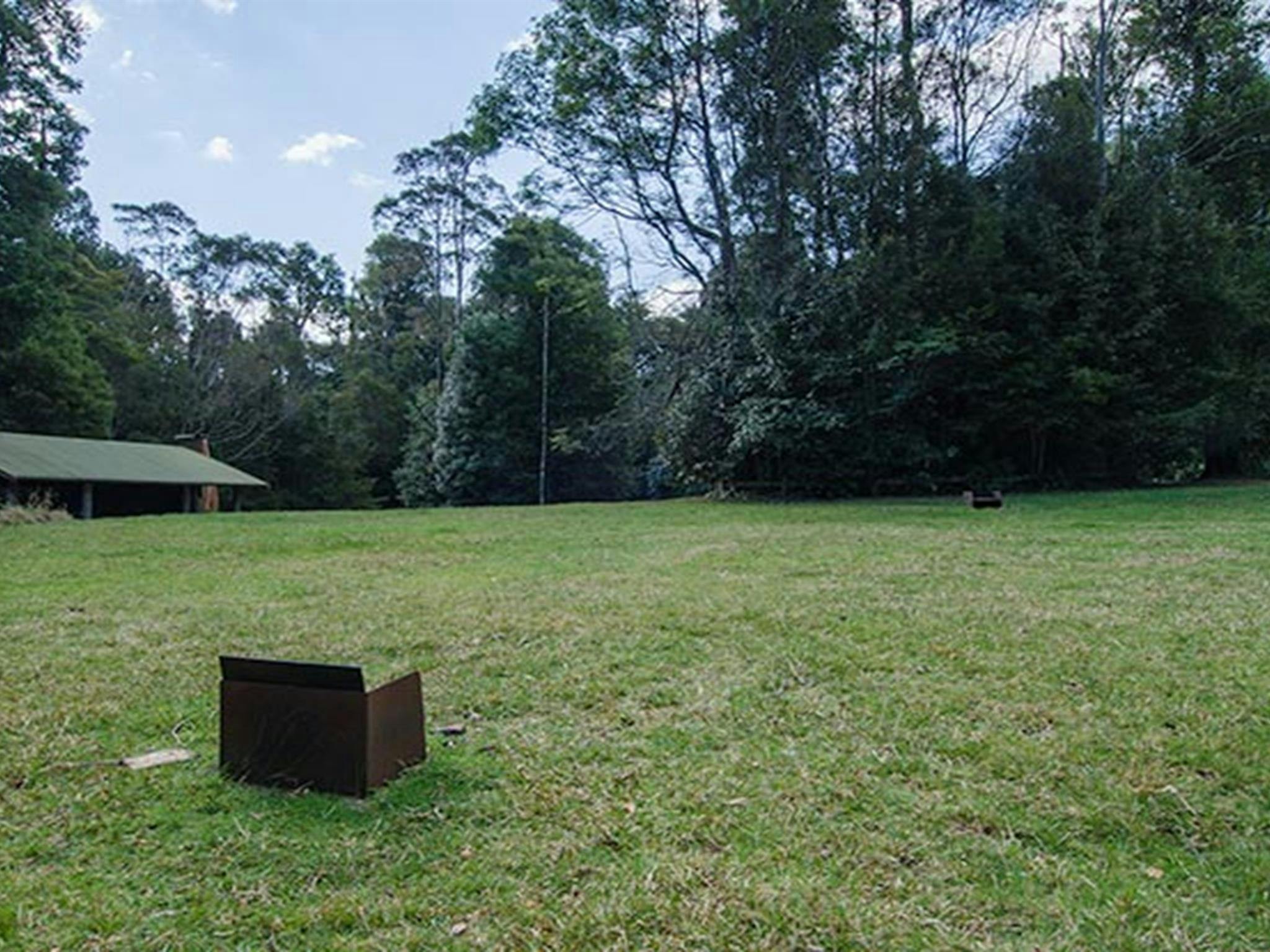 韦里克姆比国家公园高原山毛榉露营地。照片：约翰·斯宾塞/新南威尔士州政府