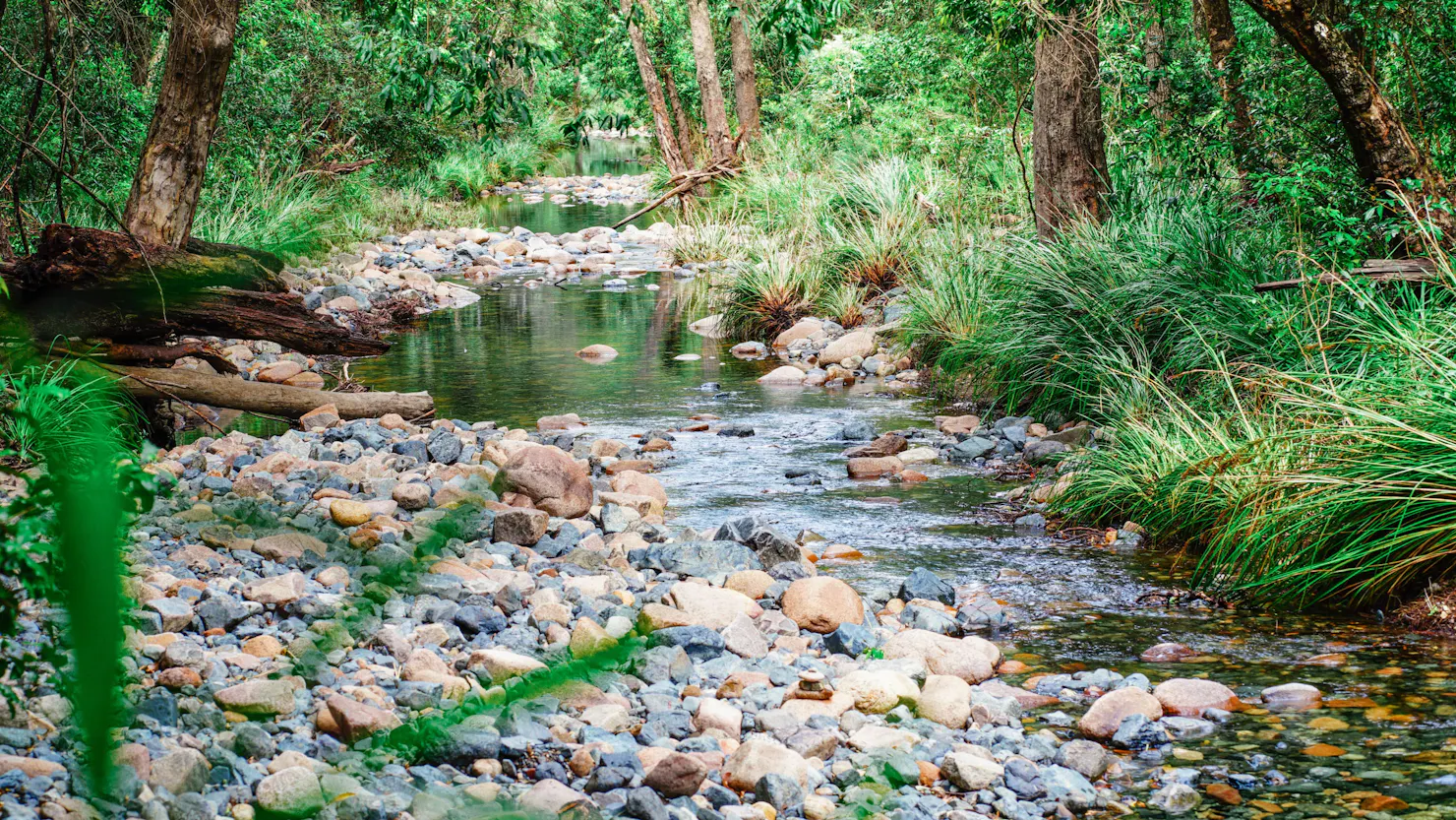 Amamoor Creek