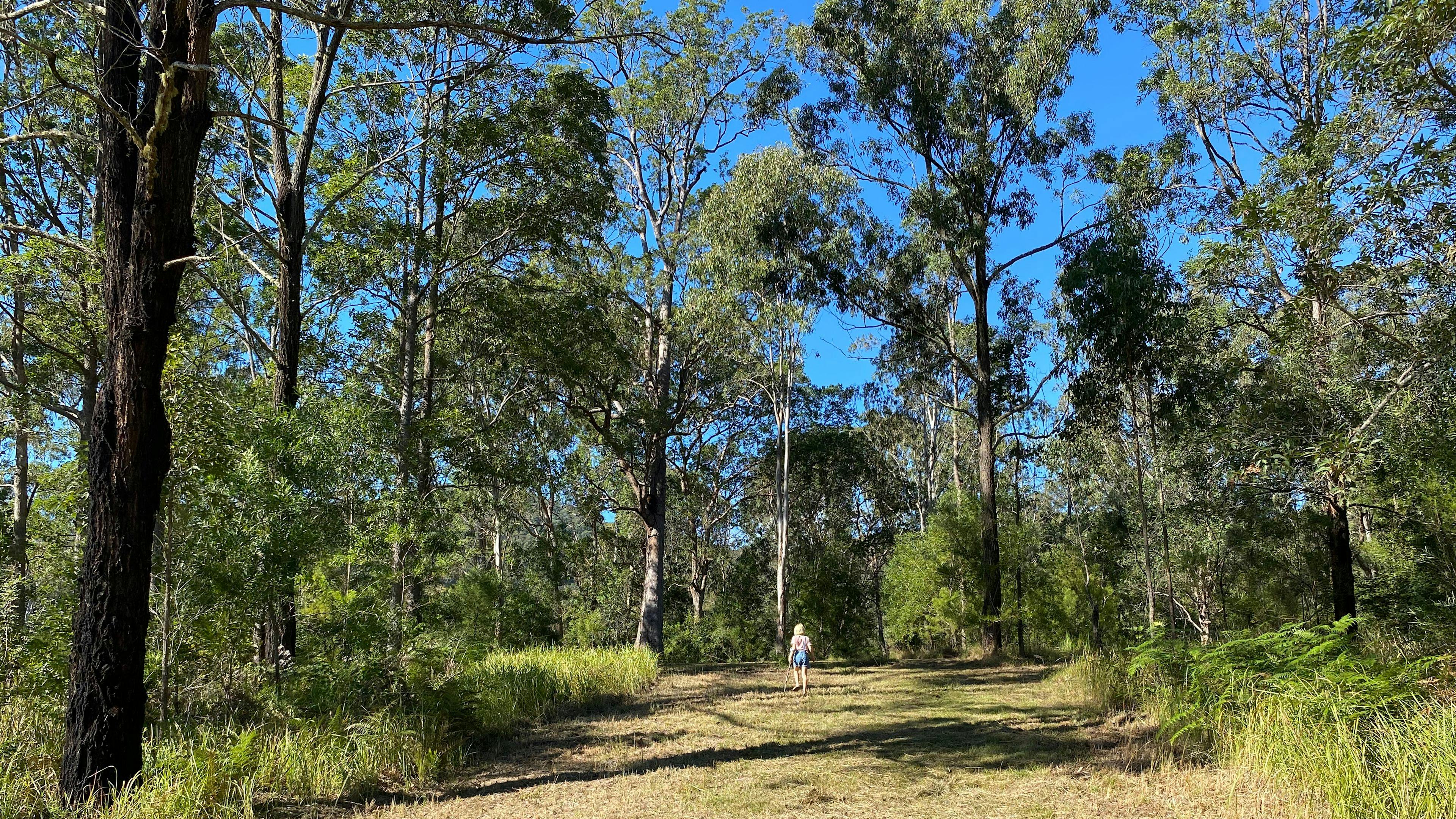 오리너구리 개울