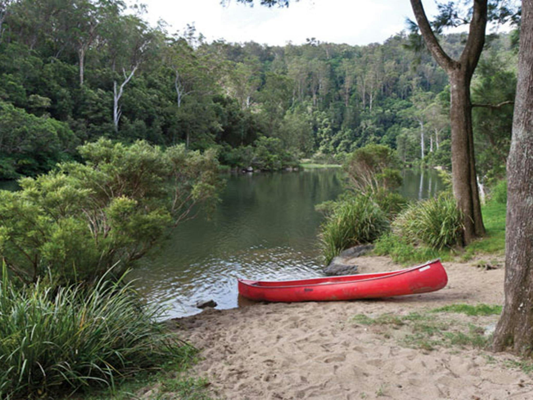 Platypus Flat campground, Nymboi-Binderay National Park. Photo: Rob Cleary/NSW Government