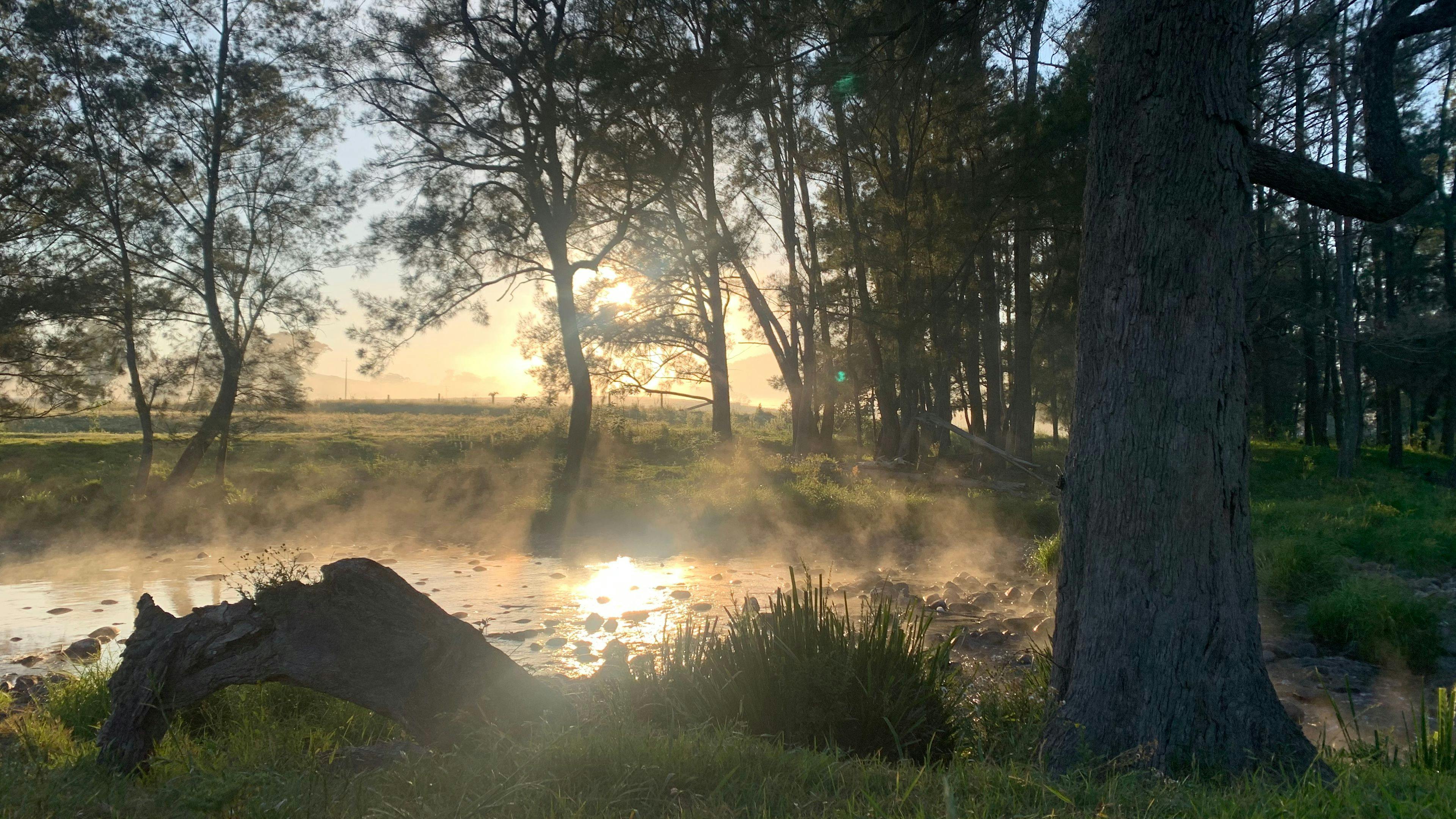 Absolutely stunning early morning sunrise