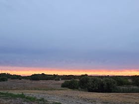 Beachport Bush Camp