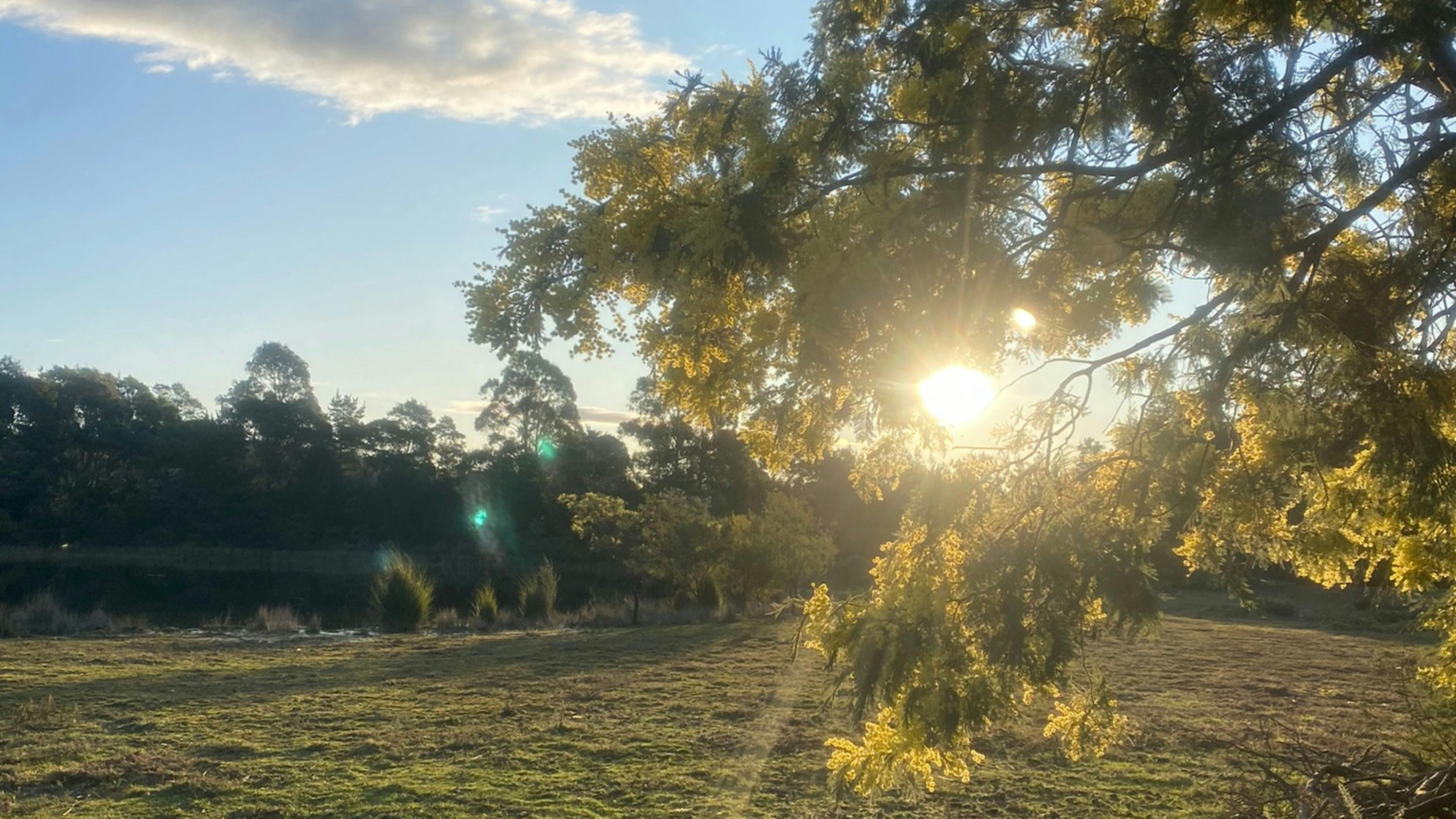 Pockets Farm