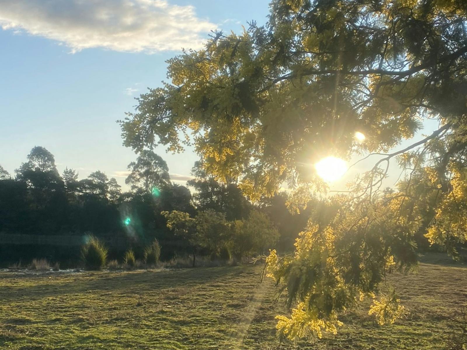 Pockets Farm