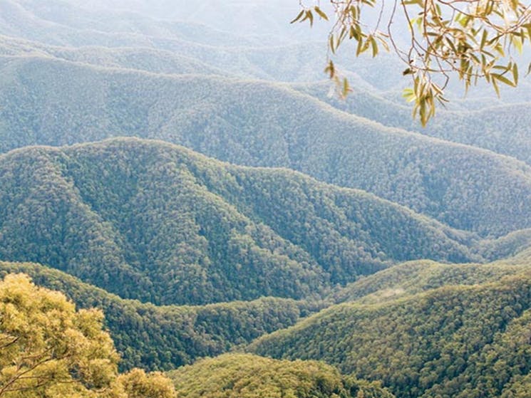 Point lookout, New England National Park. Photo: Michael van Ewijk/NSW Government