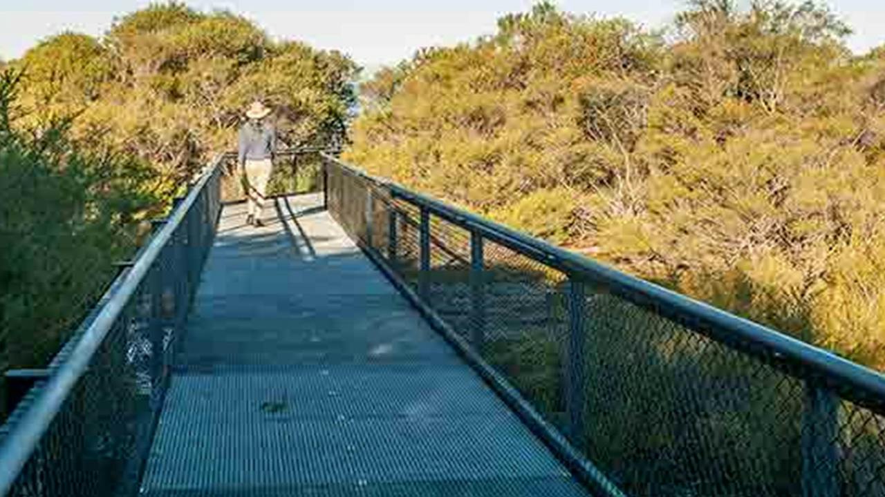 Pointer Gap lookout