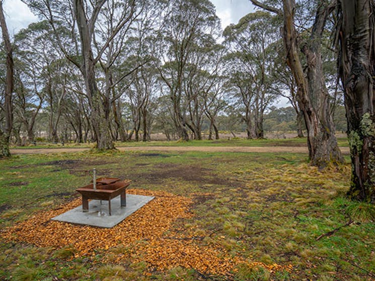 A wood barbecue in Polblue campground and picnic area, Barrington Tops National Park. Photo: John
