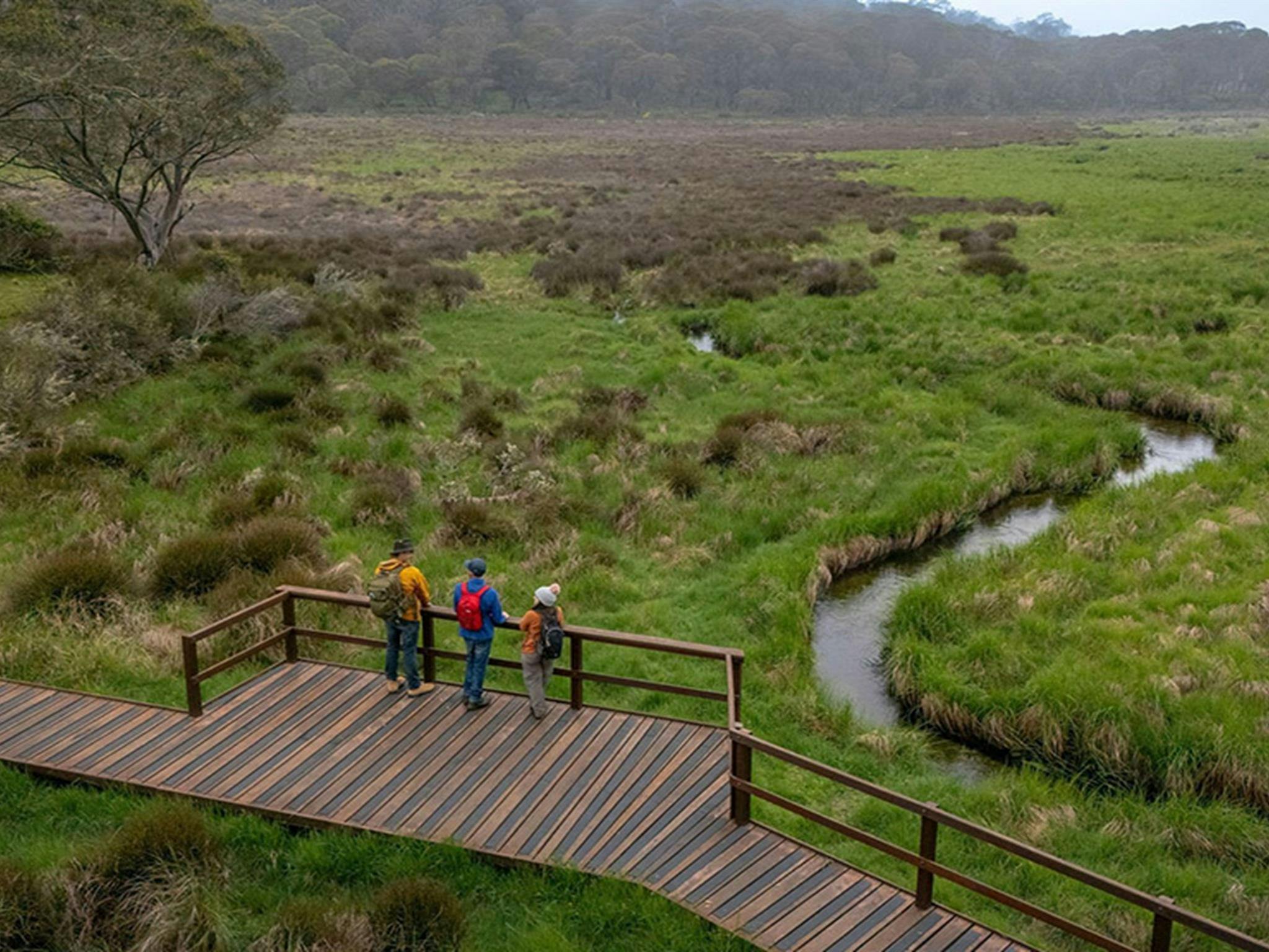 Luftaufnahme von Personen auf einem erhöhten Holzsteg entlang des Polblue Swamp Tracks. Foto: John Spencer/DCCEEW