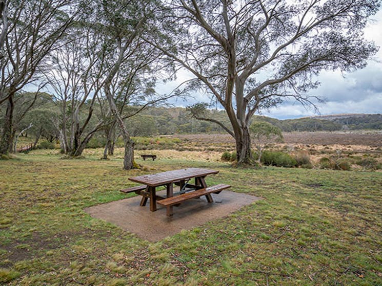 A picnic table in Polblue campground and picnic area, Barrington Tops National Park. Photo: John