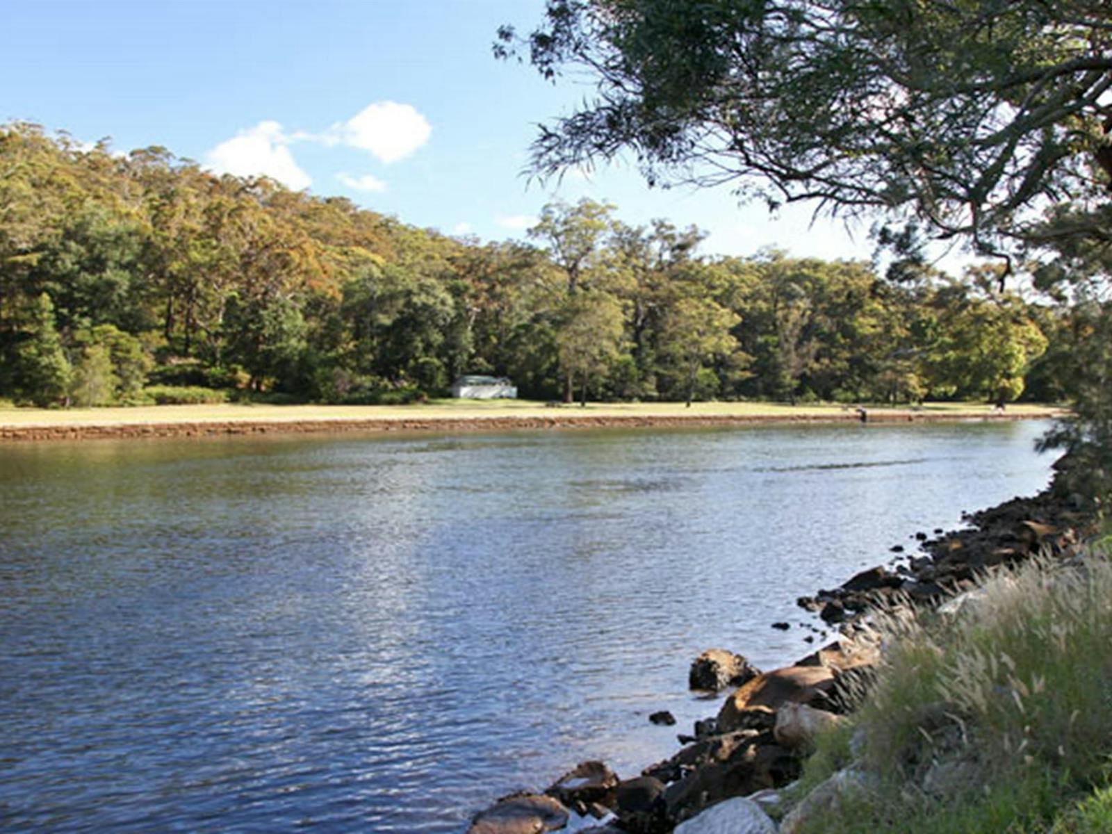 풀 플랫 로열 국립공원. 사진: 앤디 리차즈/NSW 정부