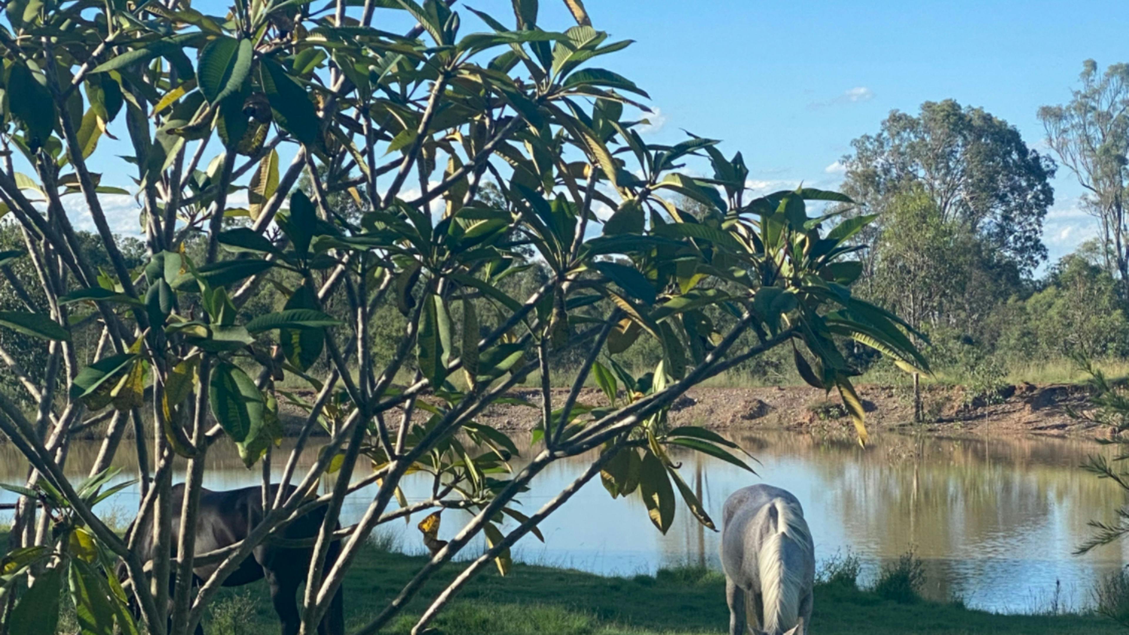 Poores Outback Property