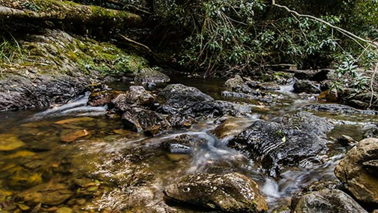 Potoroo Falls picnic area
