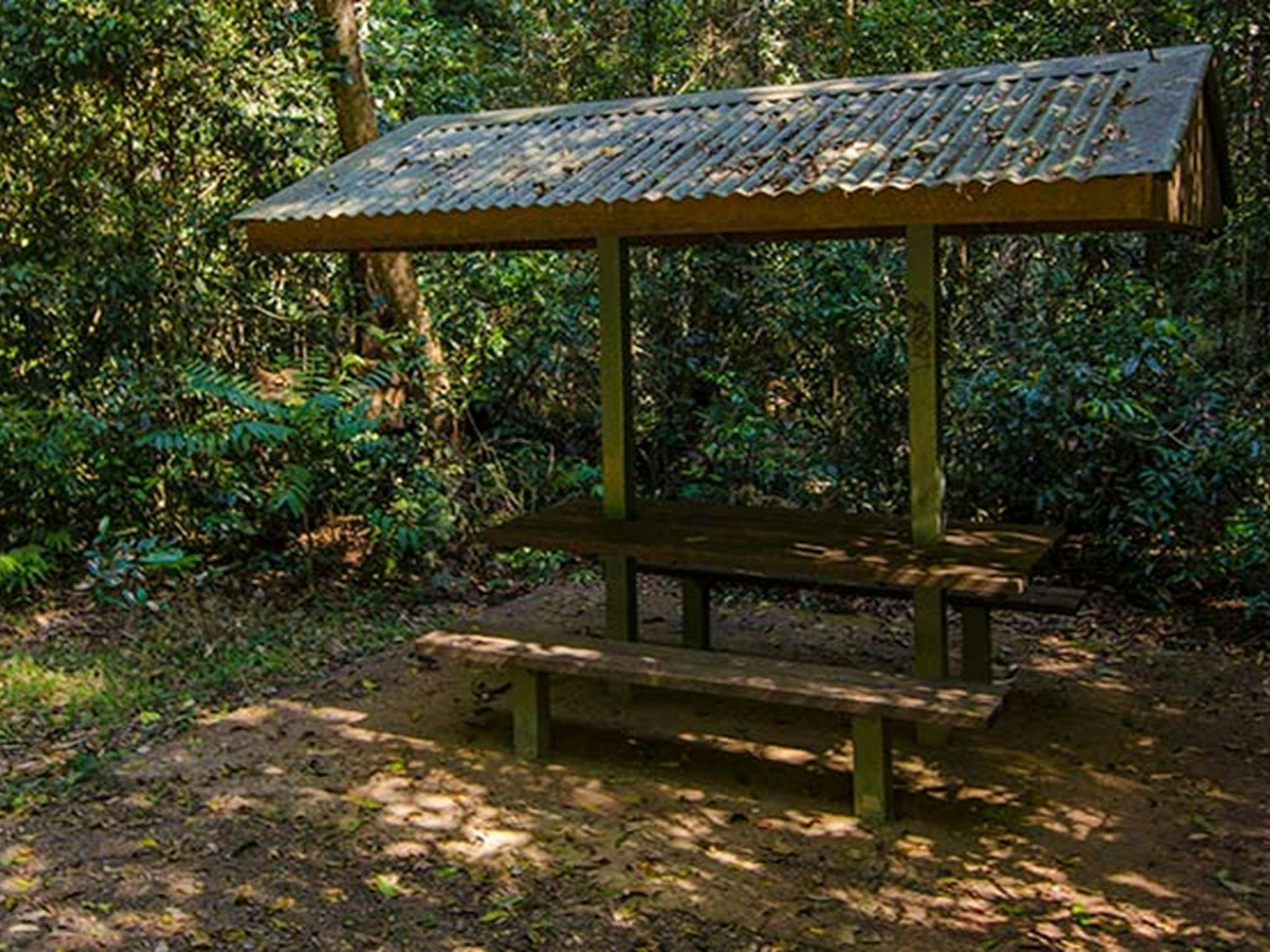 Picknickplatz Potoroo Falls, Tapin Tops Nationalpark. Foto: John Spencer/OEH