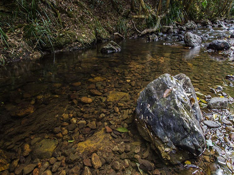 Potoroo Falls picnic area, Tapin Tops National Park. Photo: John Spencer/OEH