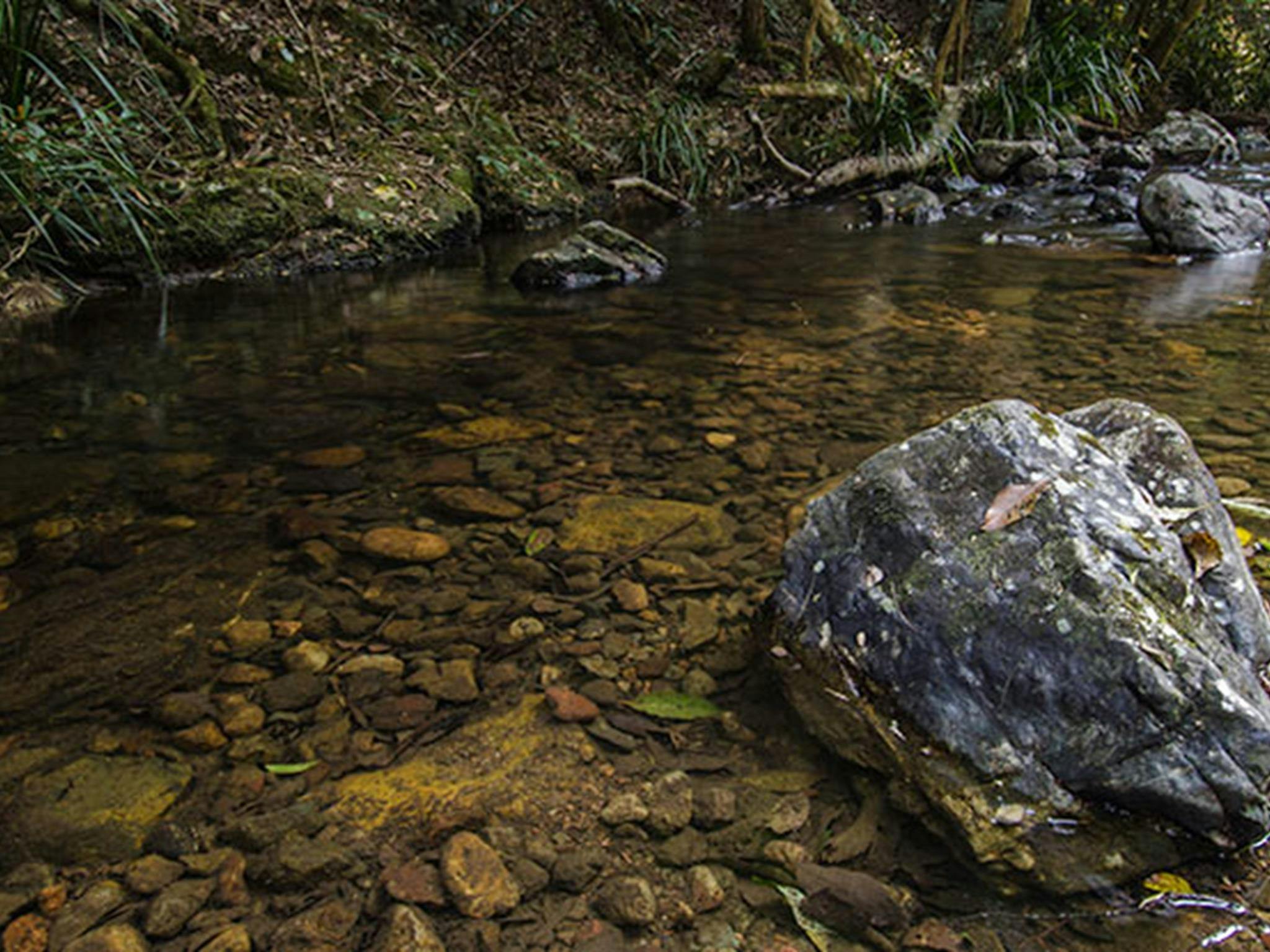 Picknickplatz Potoroo Falls, Tapin Tops Nationalpark. Foto: John Spencer/OEH