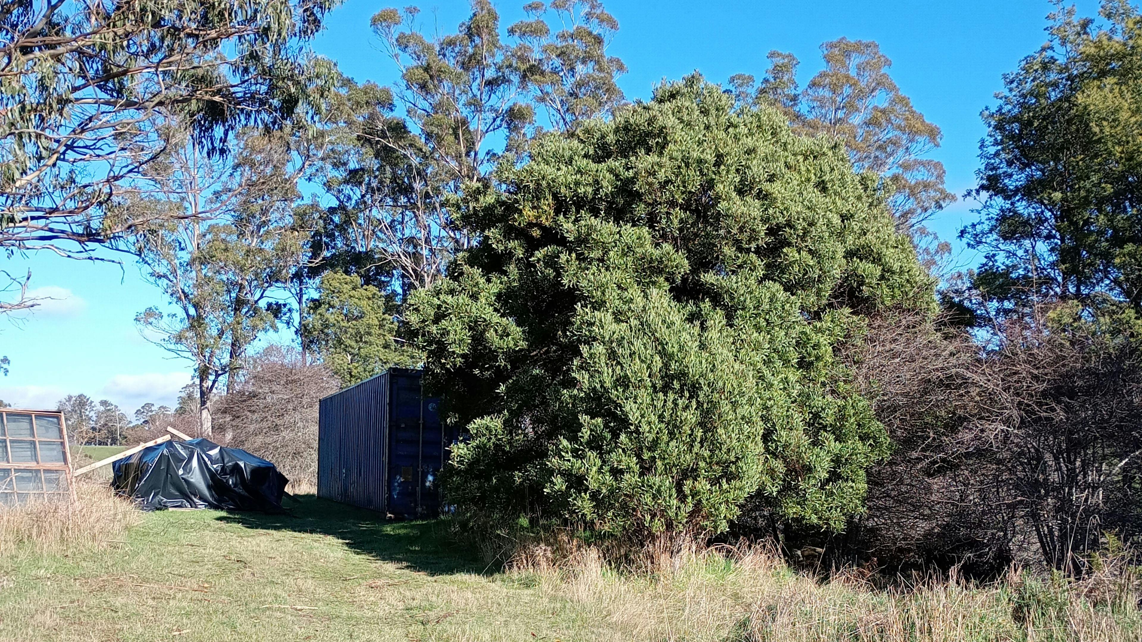 On The Hill in Patersonia campground