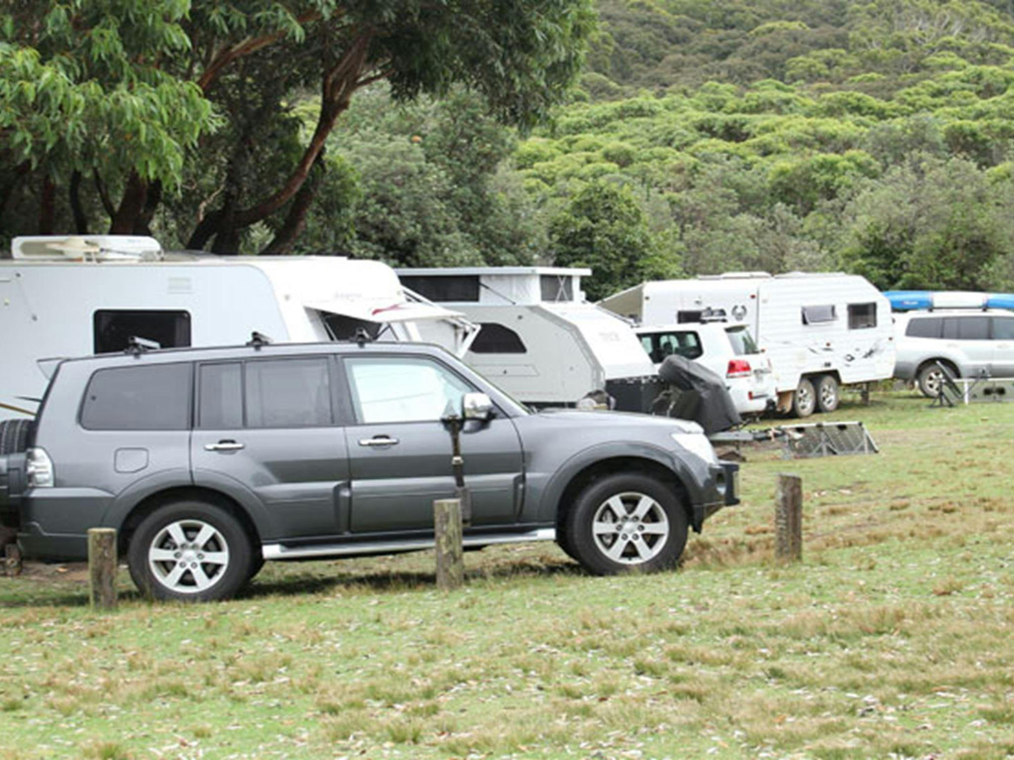 4WD and caravans in Pretty Beach campground, Murramarang National Park. Photo: John Yurasek &copy;