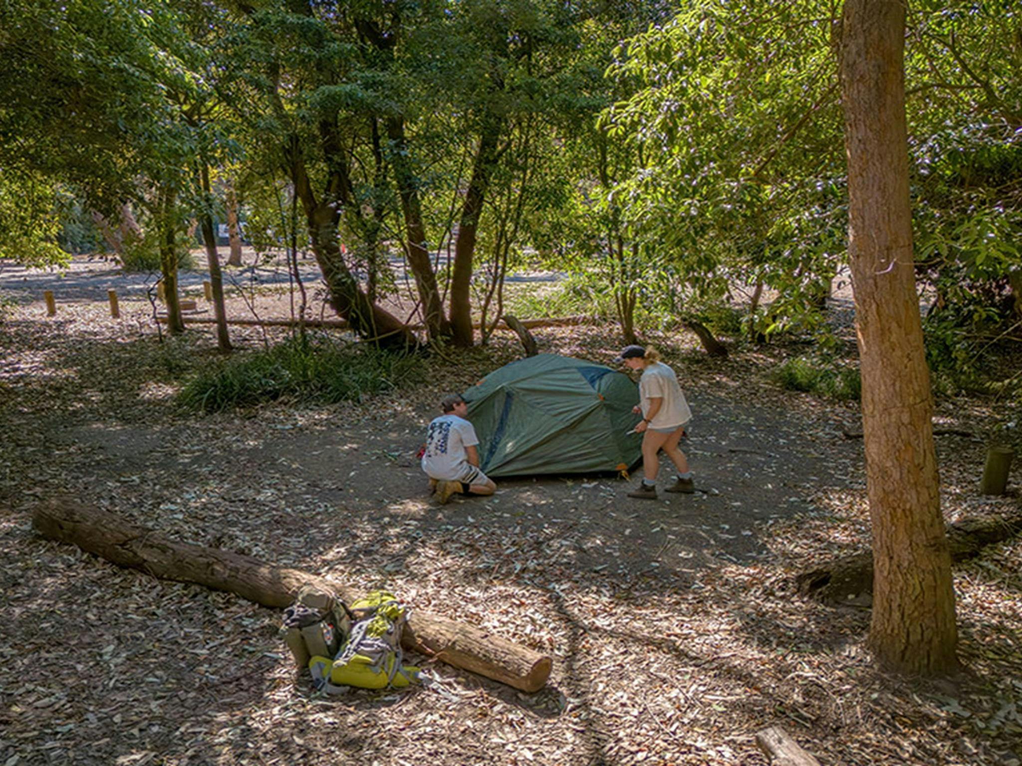 露营者在普雷蒂海滩露营地搭帐篷。图片来源：John Spencer © DCCEEW