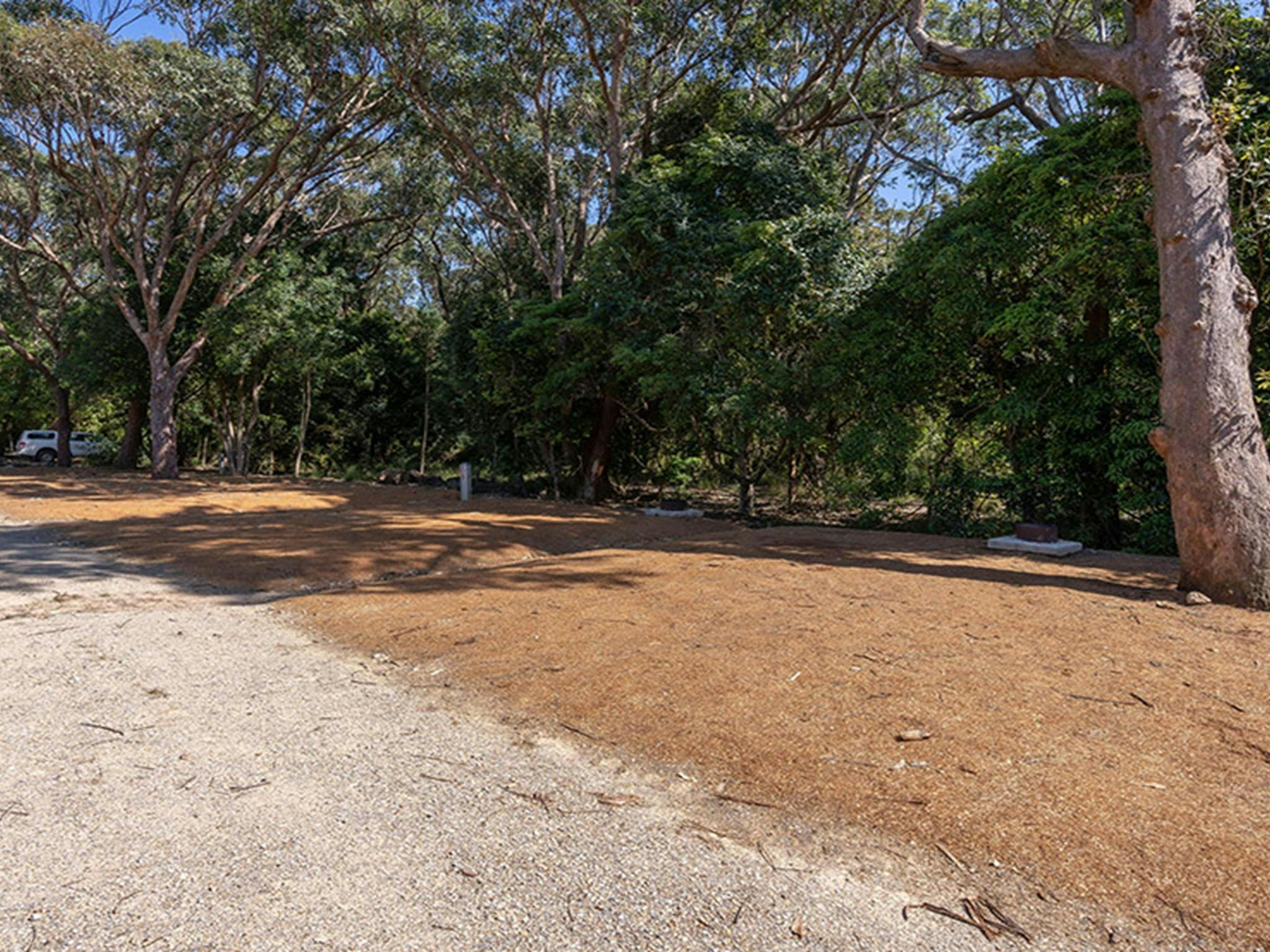 Pretty Beach campground - Murramarang National Park