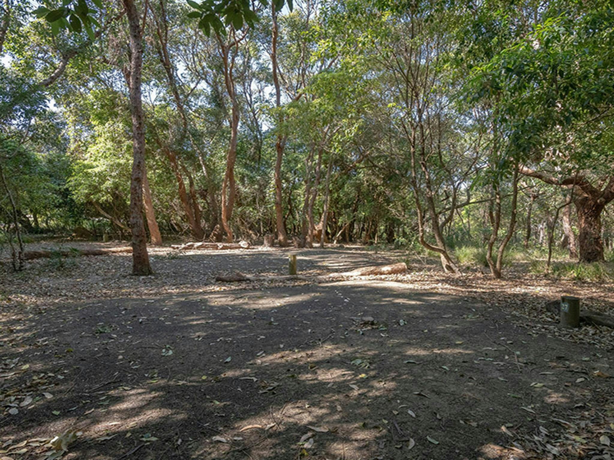 Pretty Beach campground - Murramarang National Park