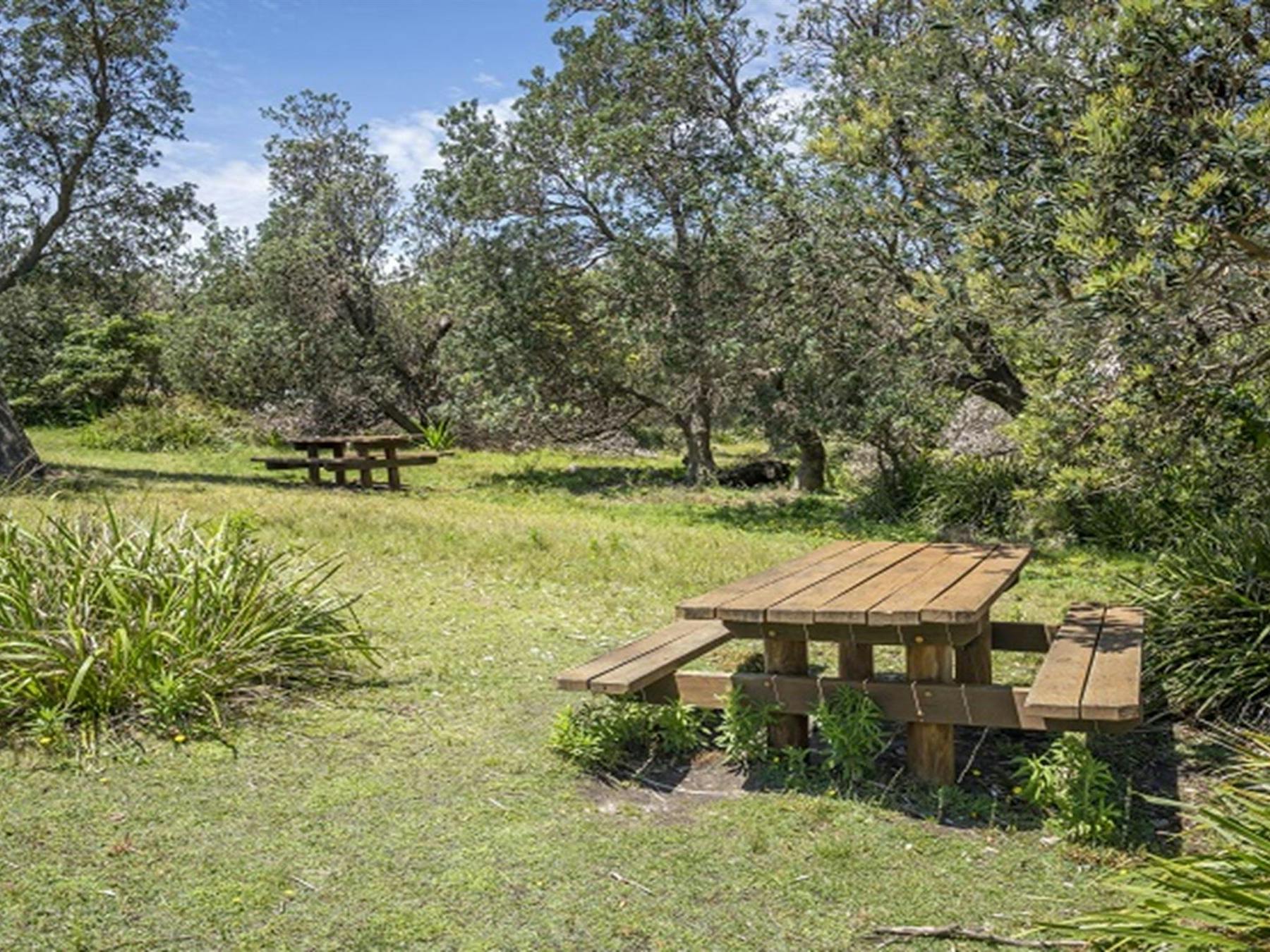 Picnic tables at Pretty Beach picnic area. Photo credit: John Spencer © DPIE
