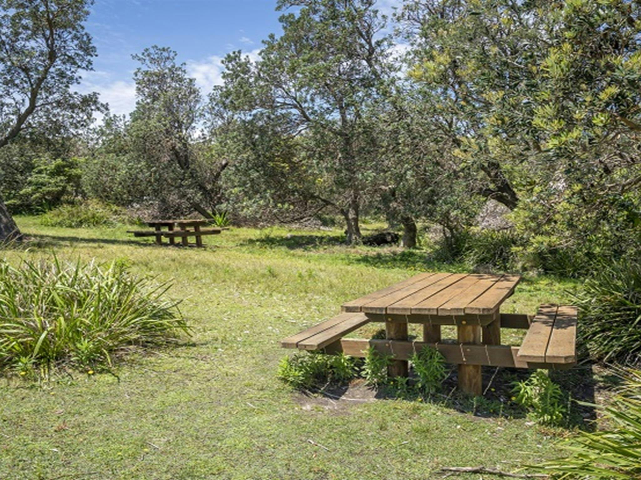 Picnic tables at Pretty Beach picnic area. Photo credit: John Spencer &copy; DPIE