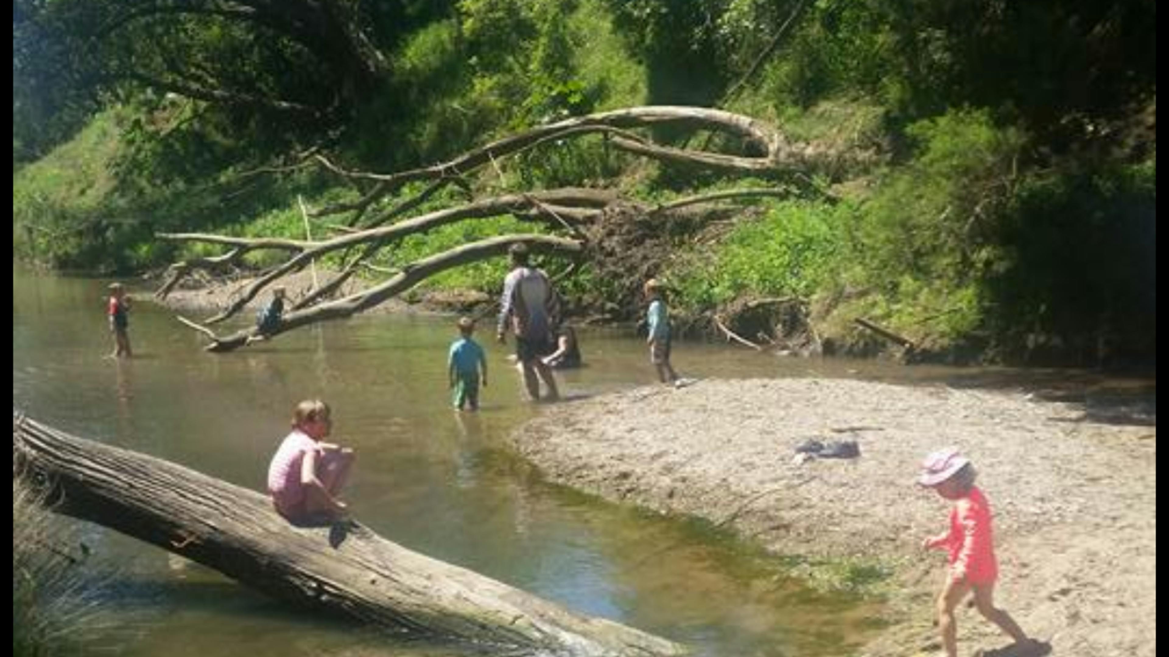 Prime Mary River Camping
