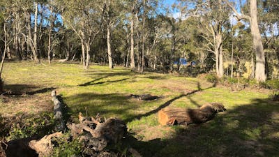 Private Bush Camp Exclusively Yours