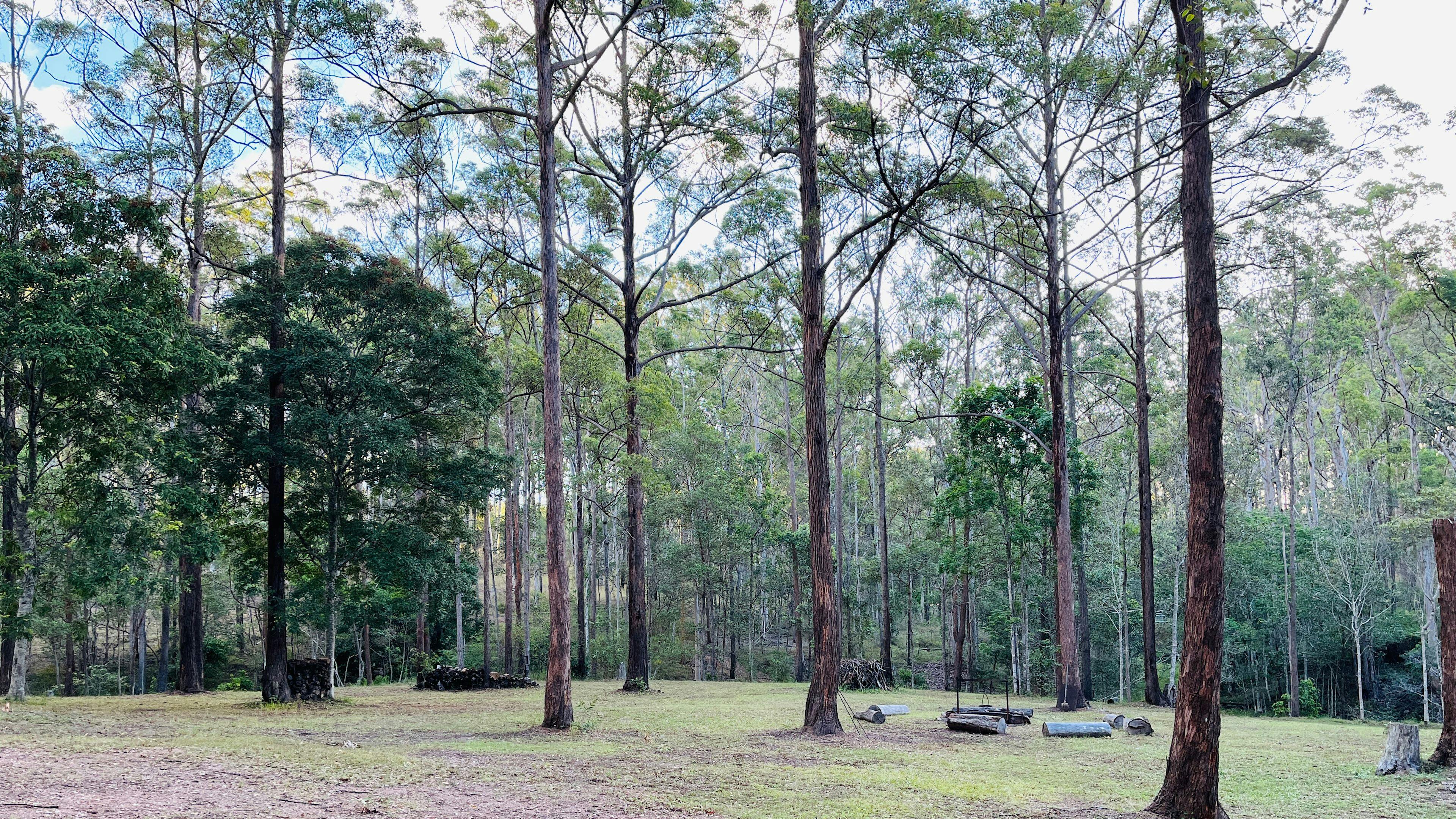 Private camp site, Brisbane