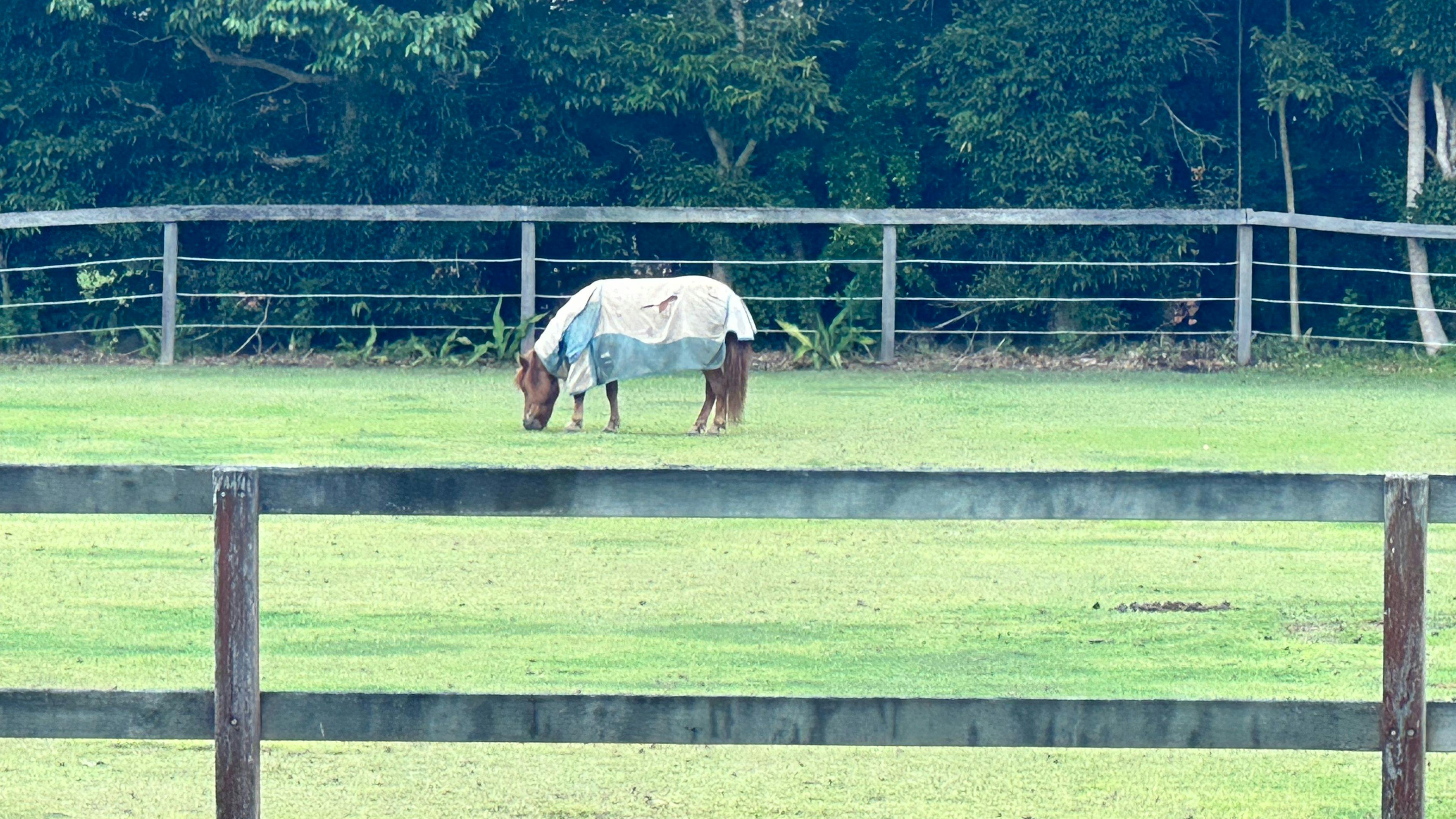 Private Mountain View Retreat