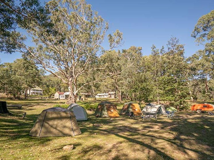A row of tents at Private Town campground in Yerranderie Private Town, Yerranderie Regional Park.