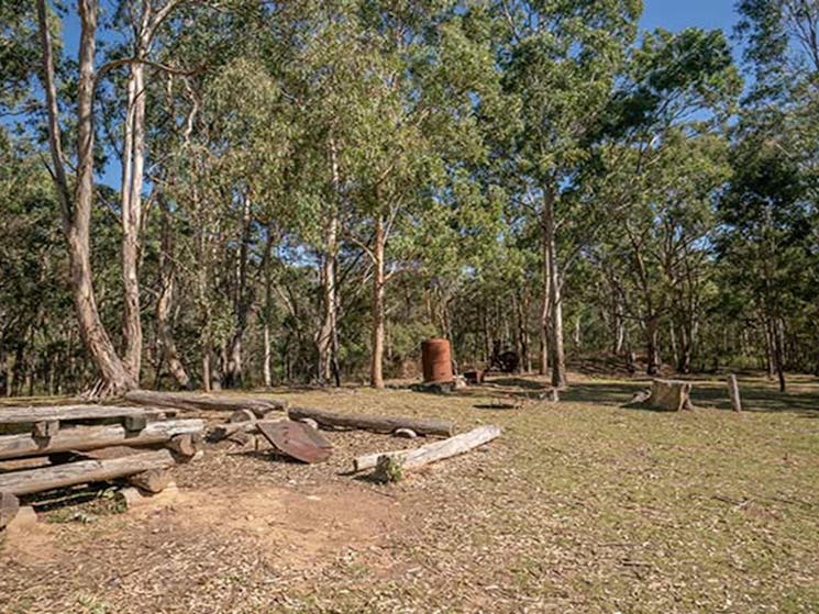 A fire pit surrounded by bushland at Private Town campground in Yerranderie Regional Park. Photo: