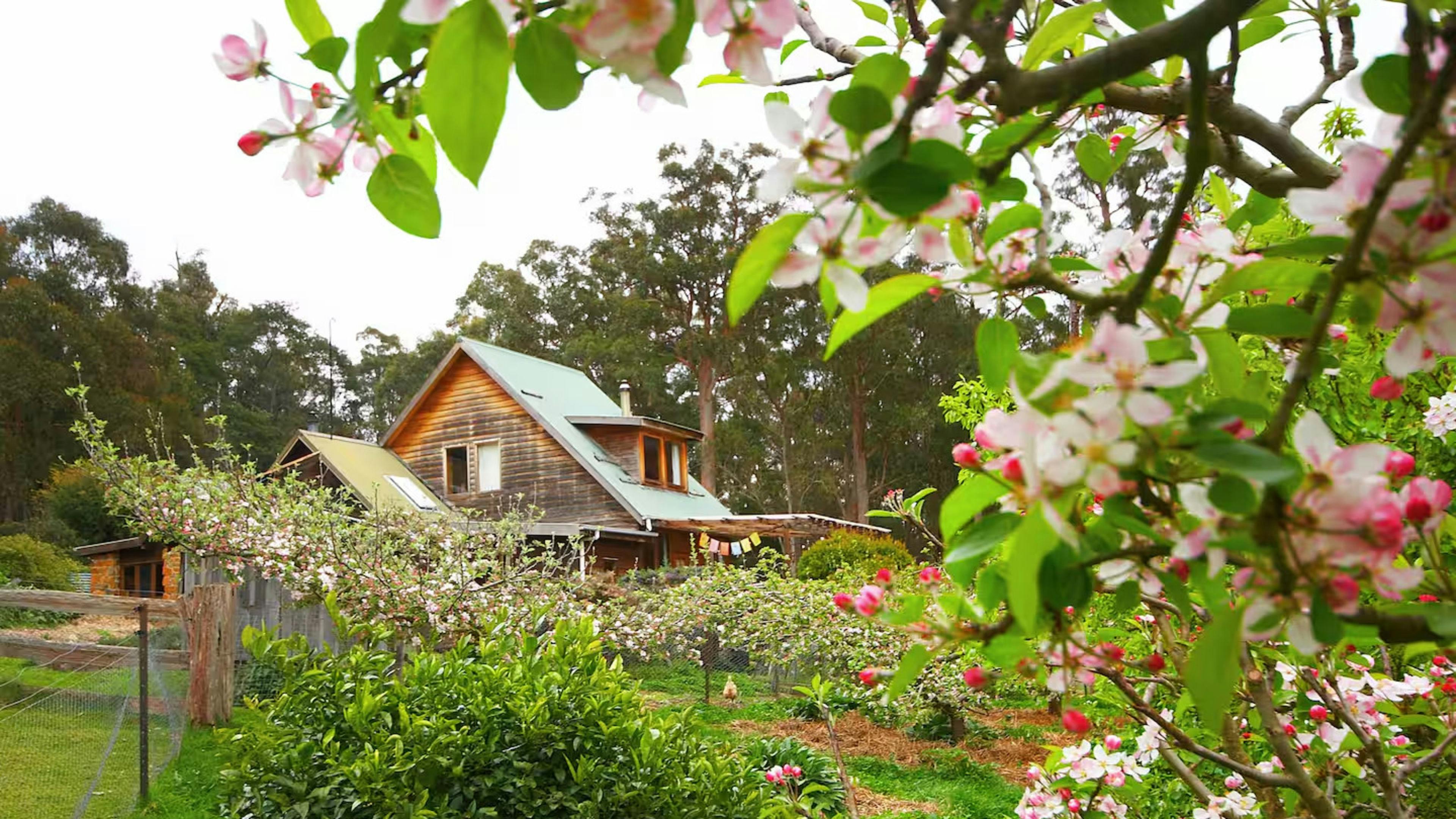 Elvenhome Eco Farmstay Tasmania