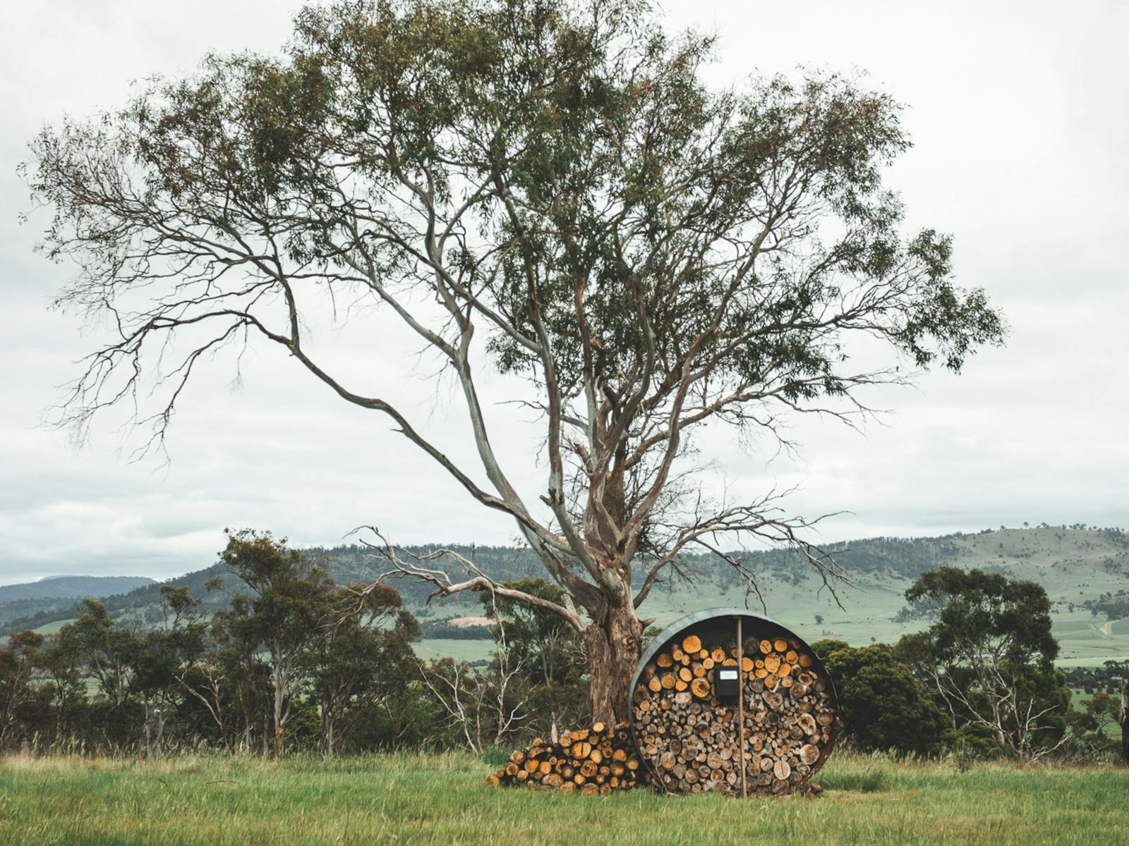 Prossers Ridge Richmond