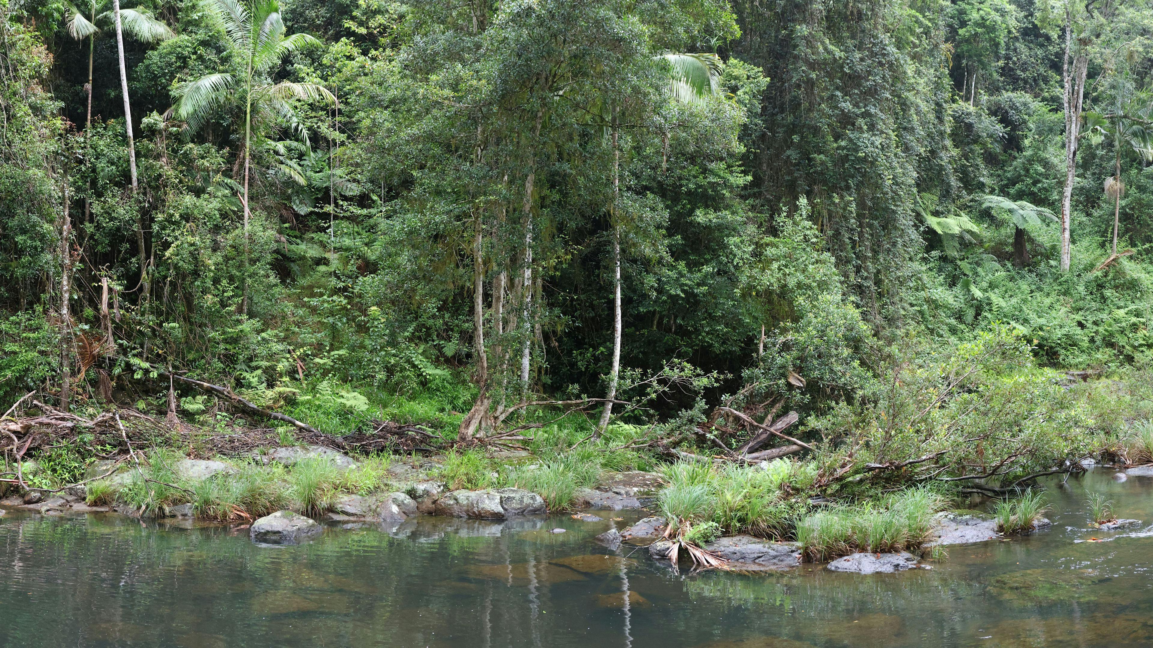 Private Swimming Holes & Morning Platypus Spotting