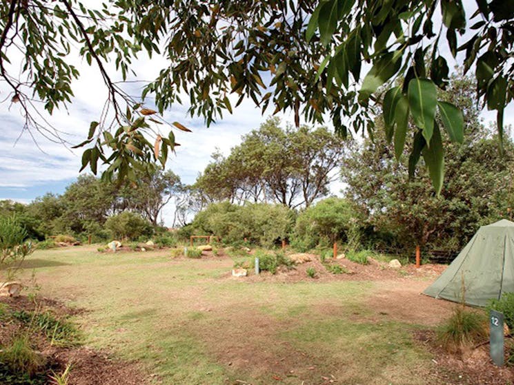 Campsite at Putty Beach campground in Bouddi National Park. Photo: Nick Cubbin/OEH