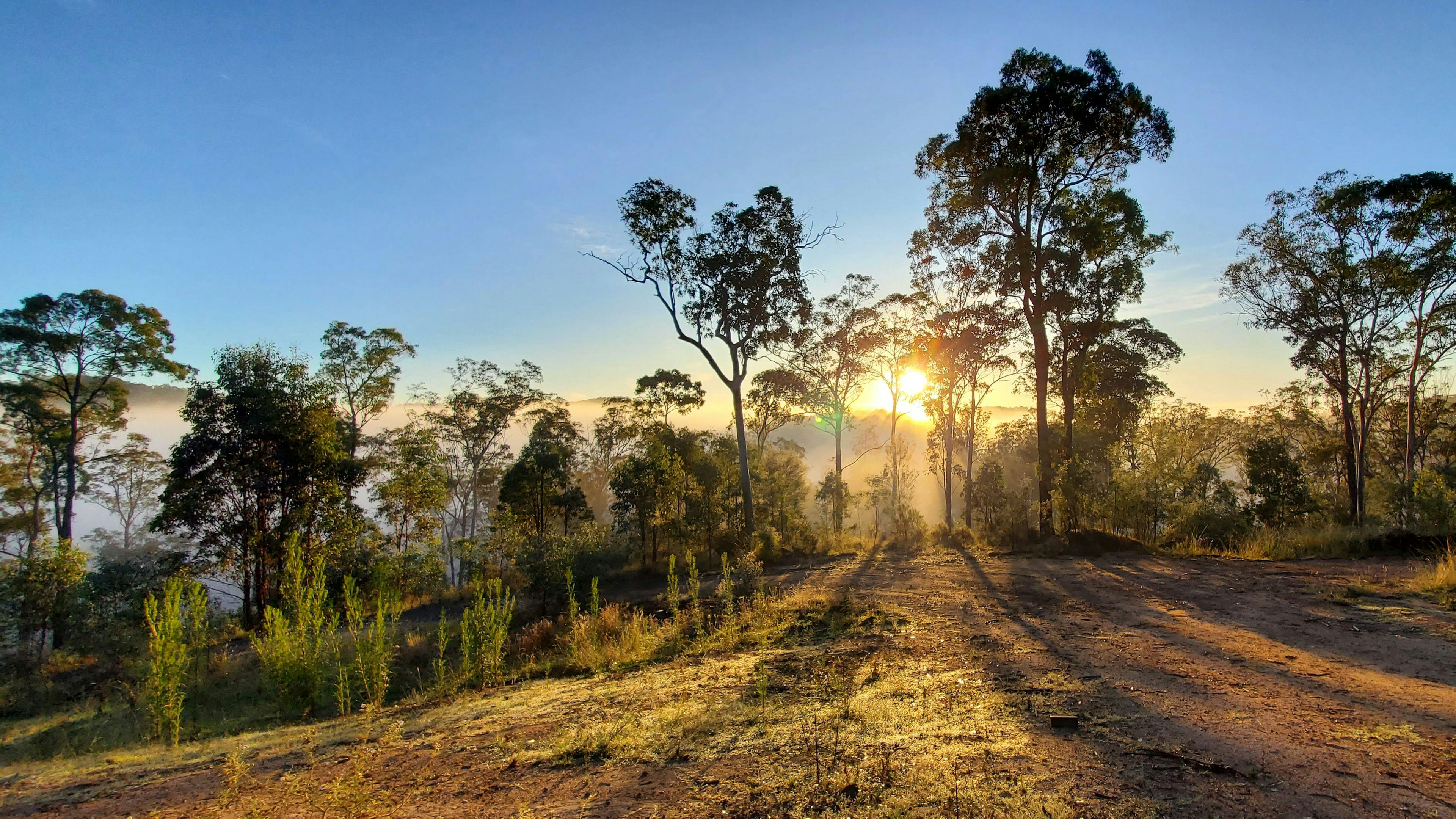 퍼티 밸리 탈출