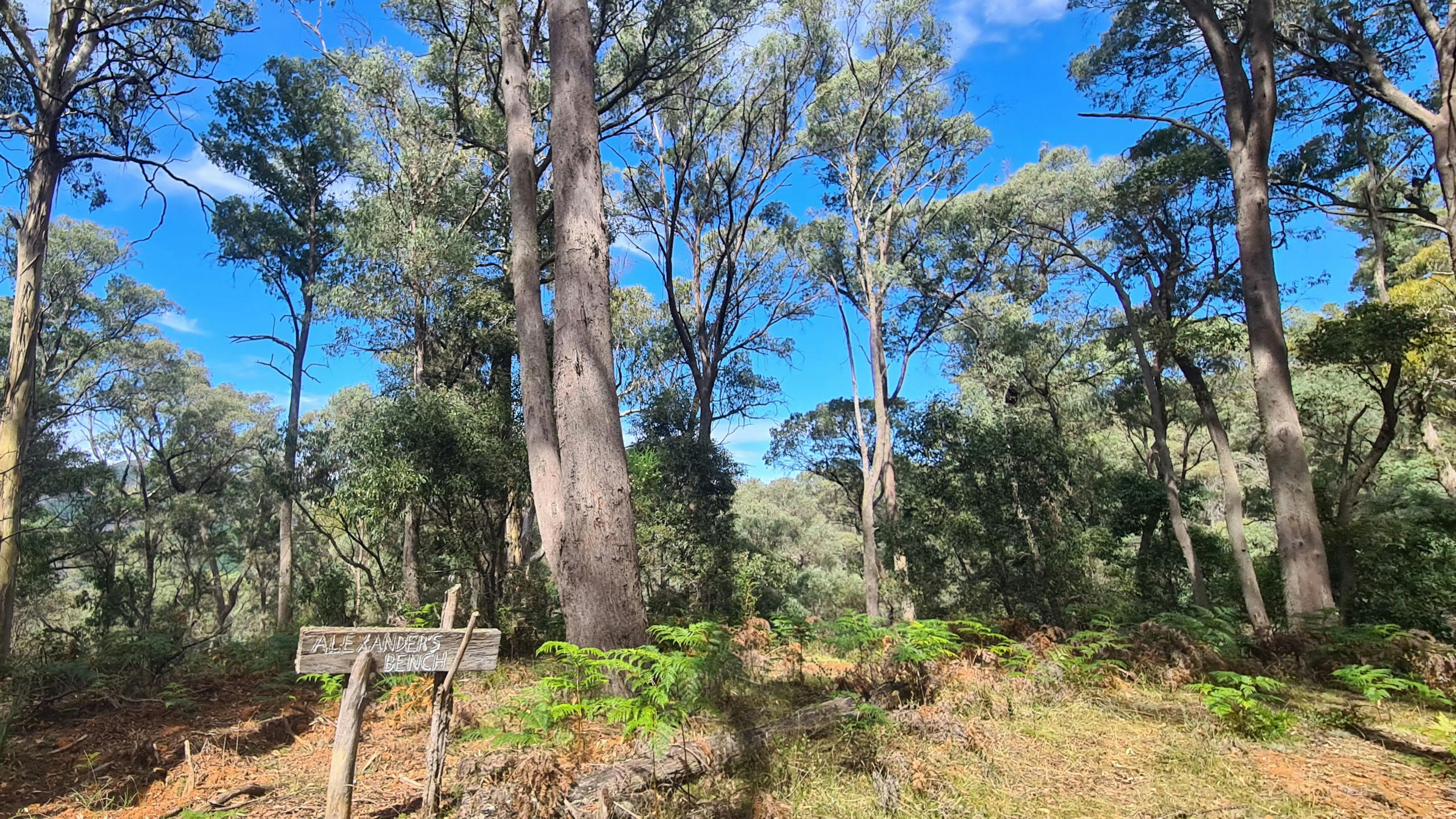 Image for Micalong Gorge