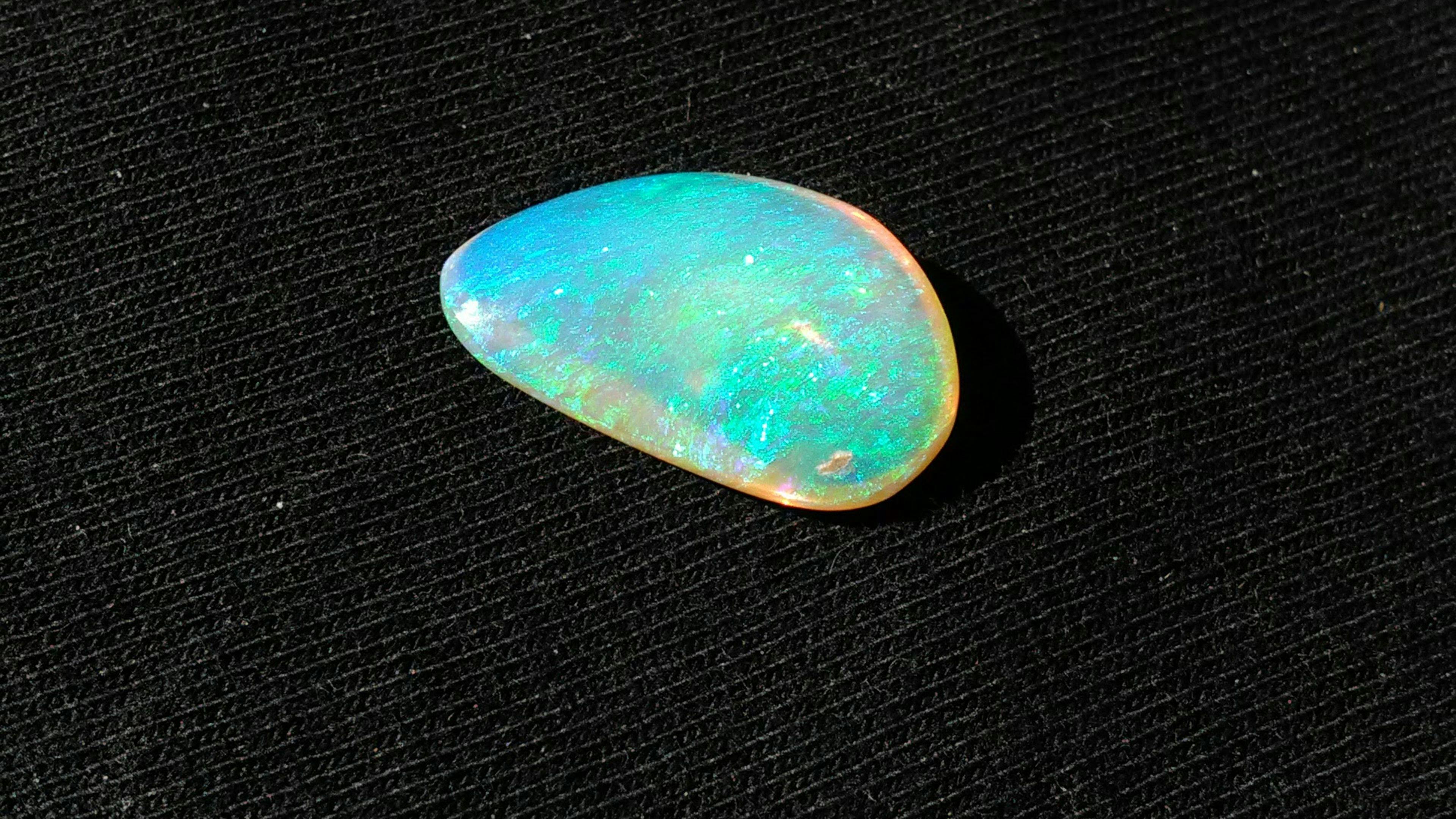 山脊上的老朋友