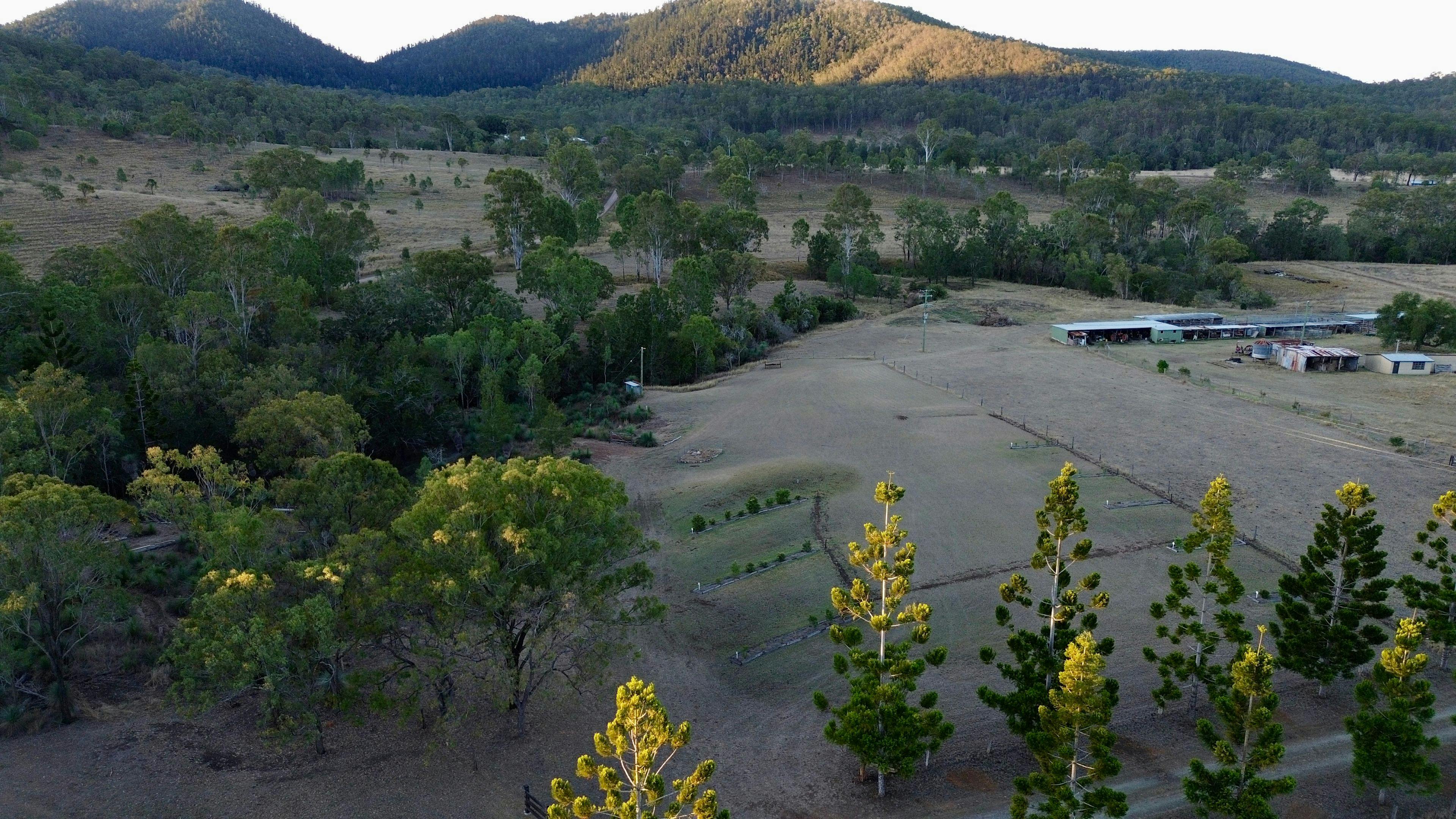 Grass Tree Camp
