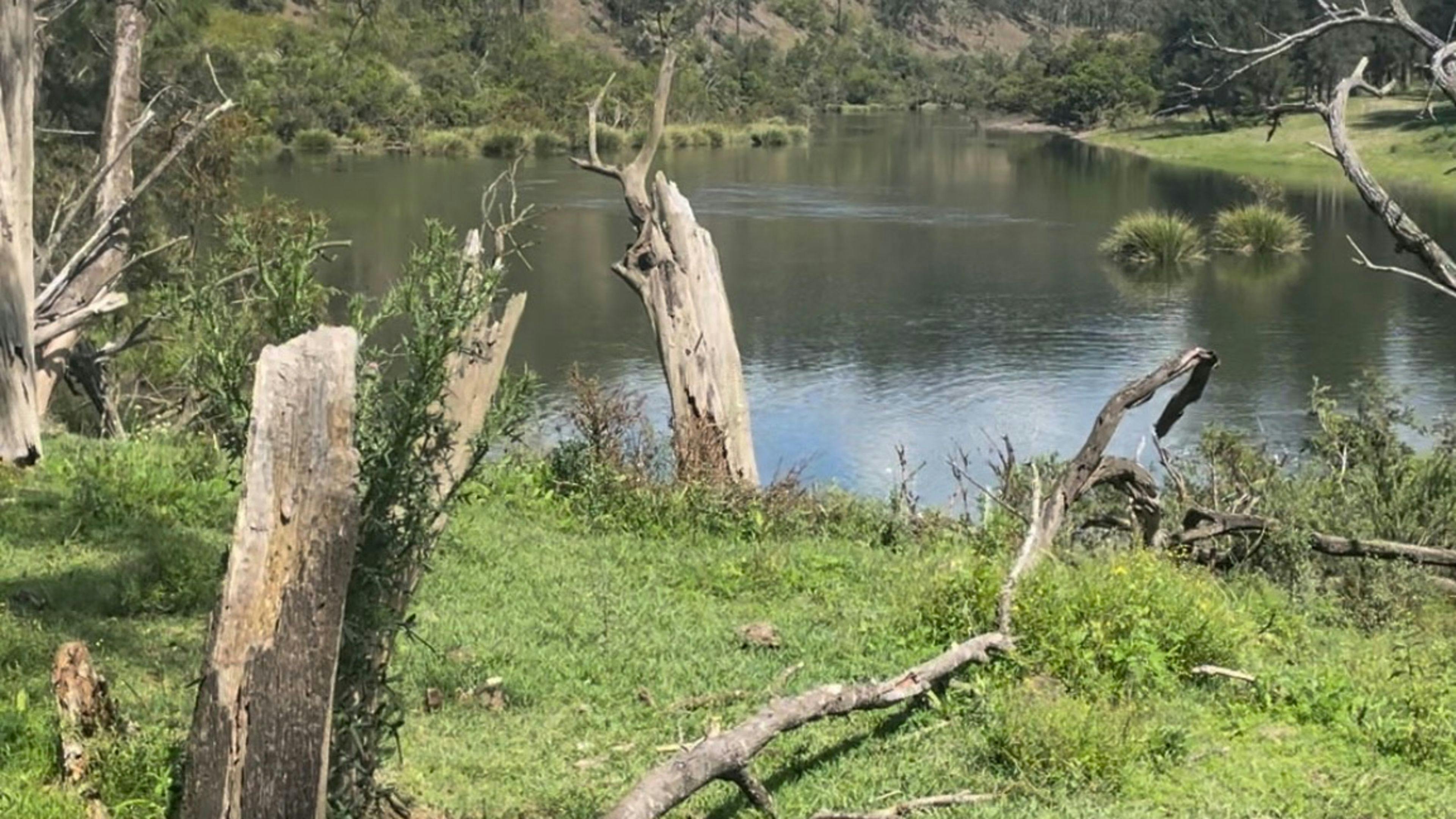 레드뱅크 캠프장