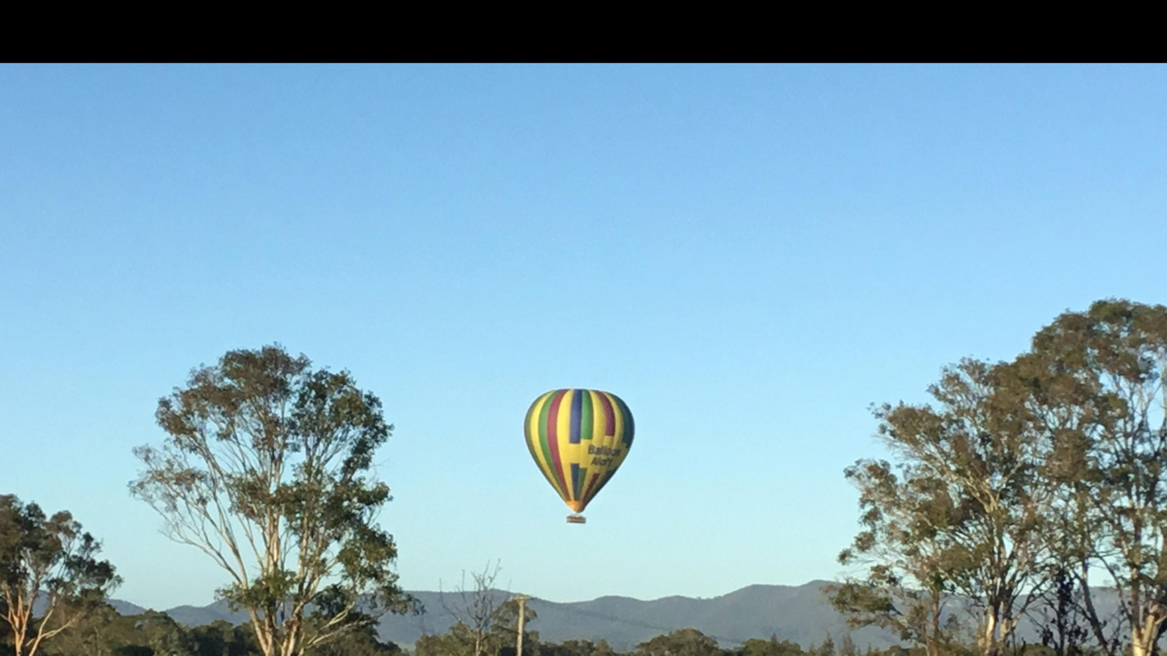 Trinity Vineyard - Hunter Valley