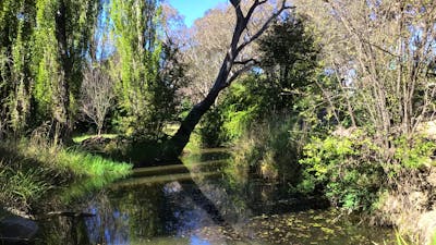 Travellers Village Rest