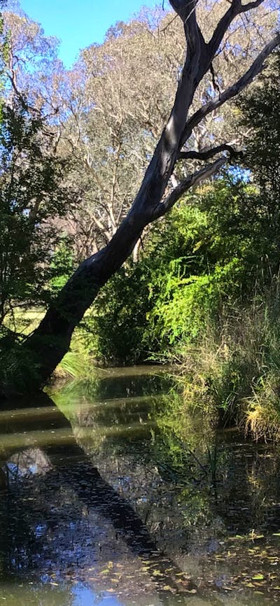 Travellers Village Rest