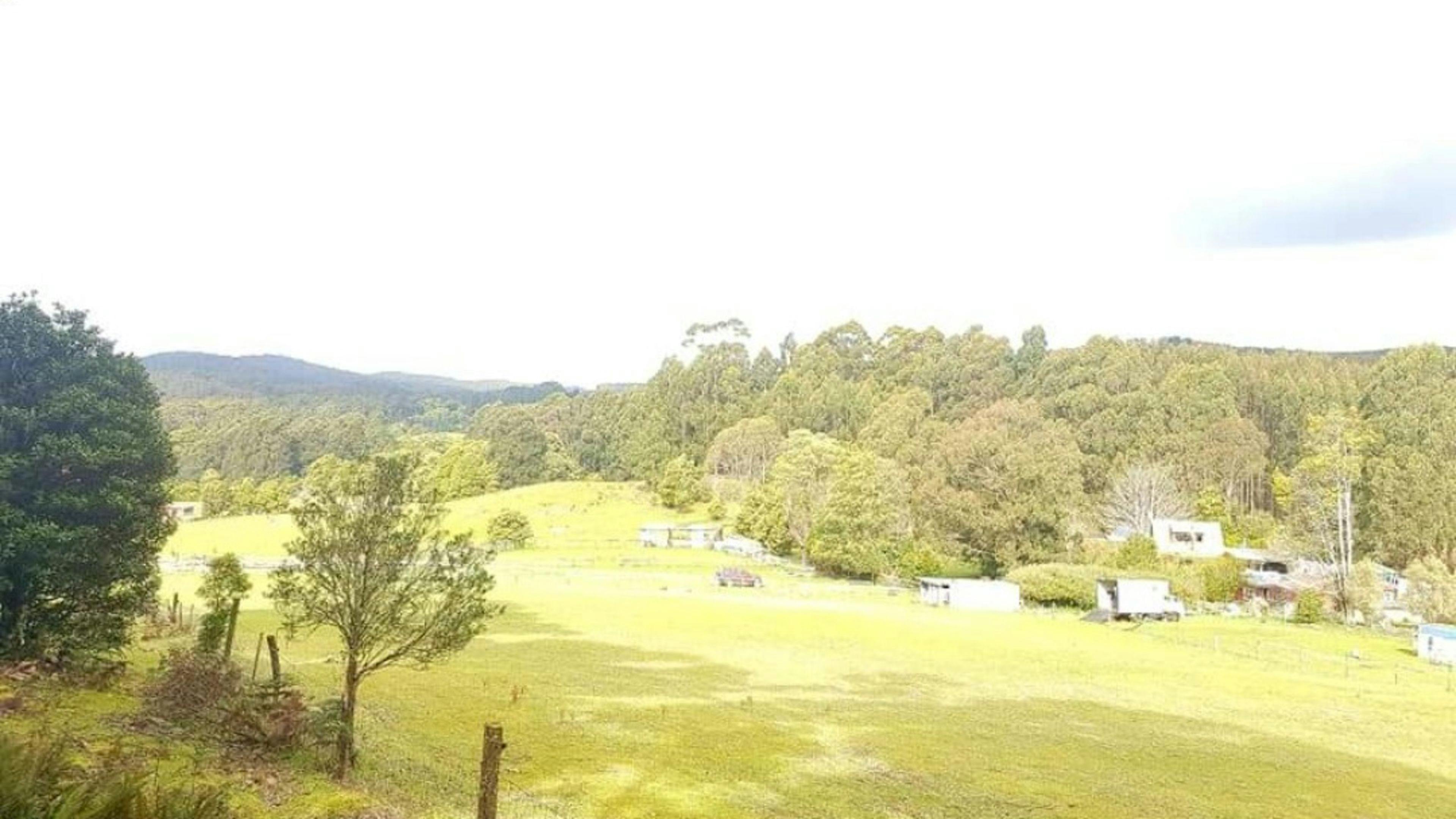 Jarek Springs Shangrila